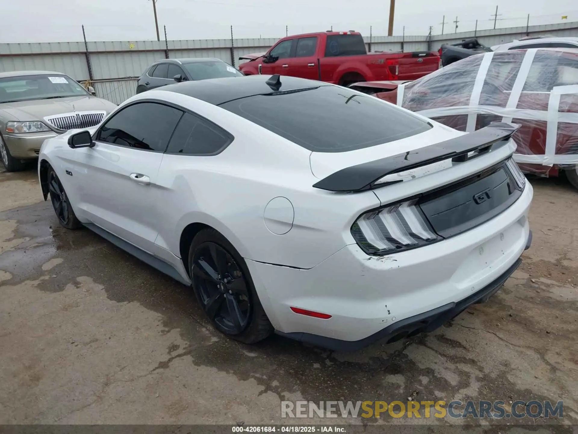 3 Photograph of a damaged car 1FA6P8CF8N5109343 FORD MUSTANG 2022