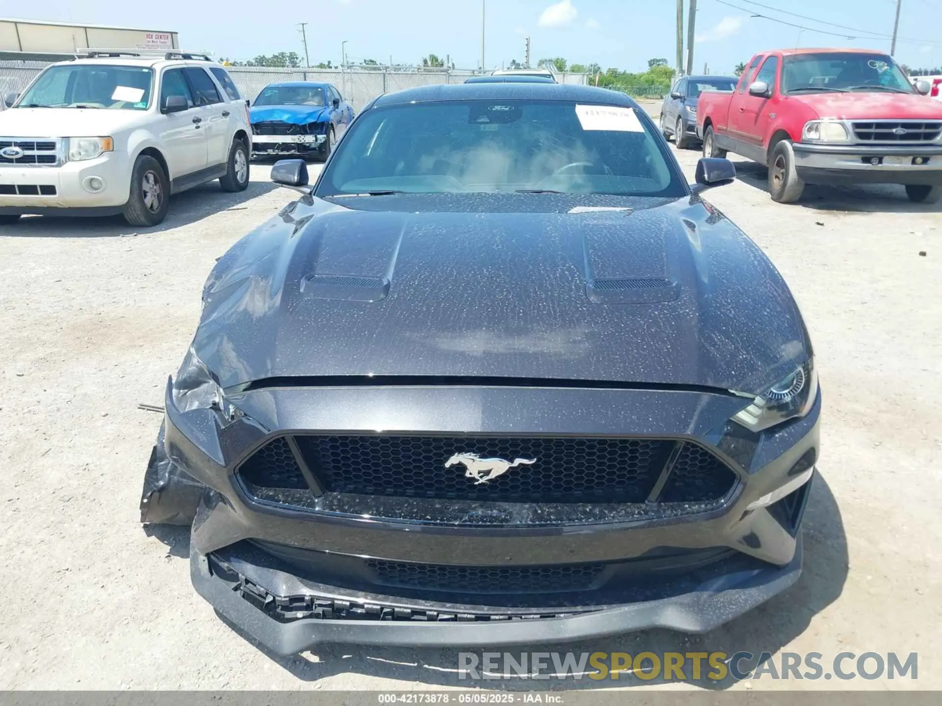 13 Photograph of a damaged car 1FA6P8CF9N5118407 FORD MUSTANG 2022
