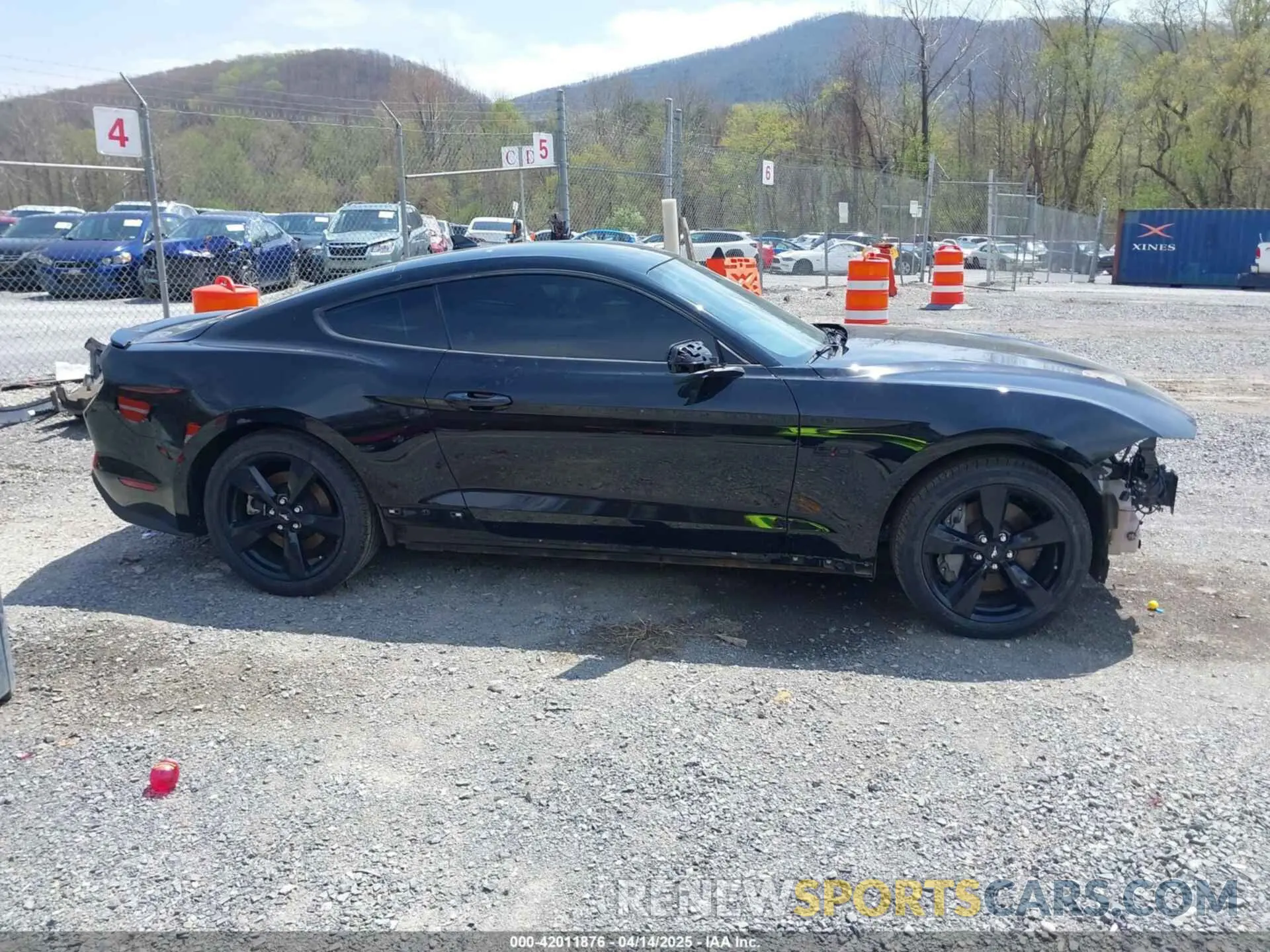 14 Фотография поврежденного автомобиля 1FA6P8CF9N5122151 FORD MUSTANG 2022