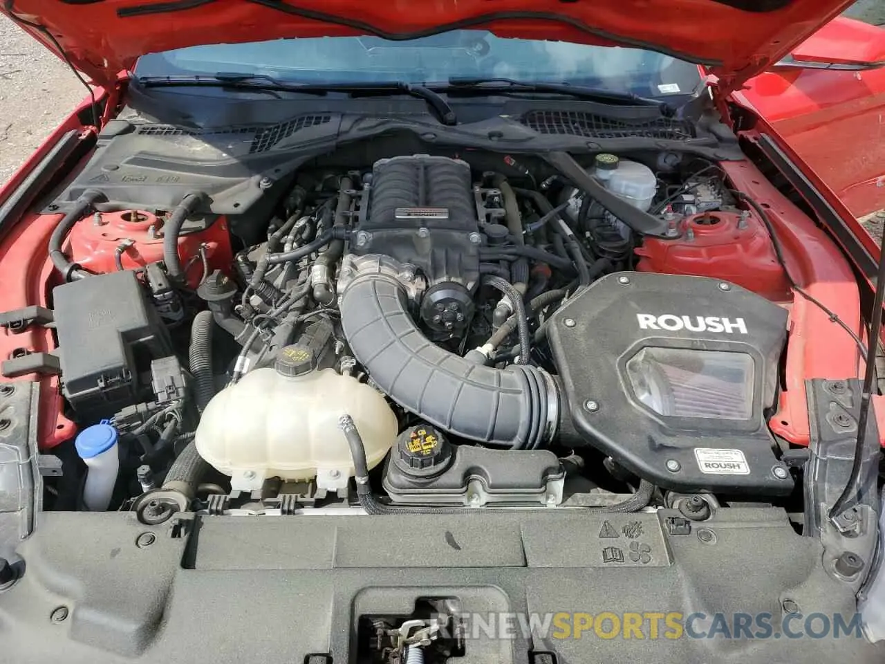 11 Фотография поврежденного автомобиля 1FA6P8CFXN5133725 FORD MUSTANG 2022
