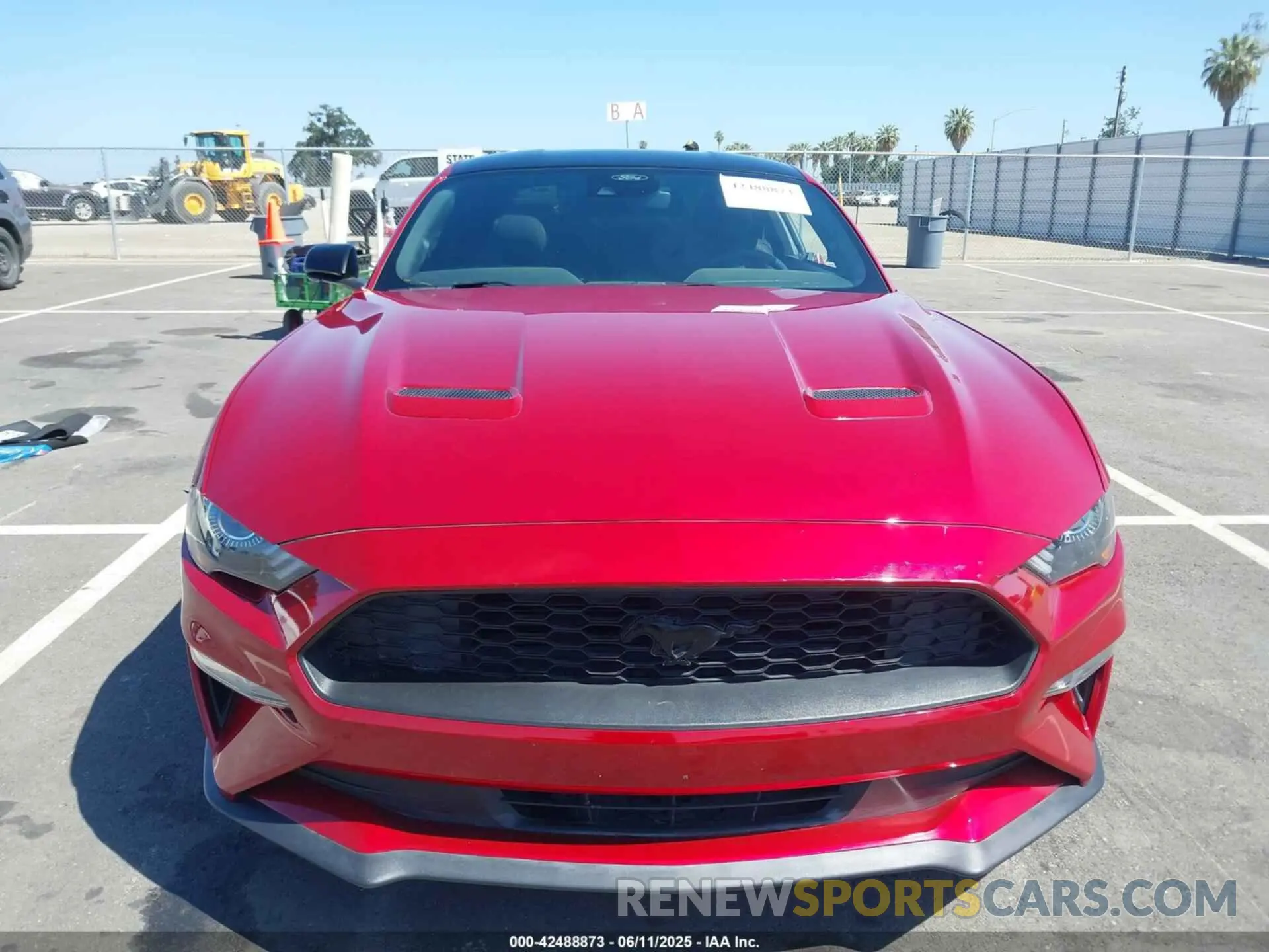12 Photograph of a damaged car 1FA6P8TH0N5129751 FORD MUSTANG 2022