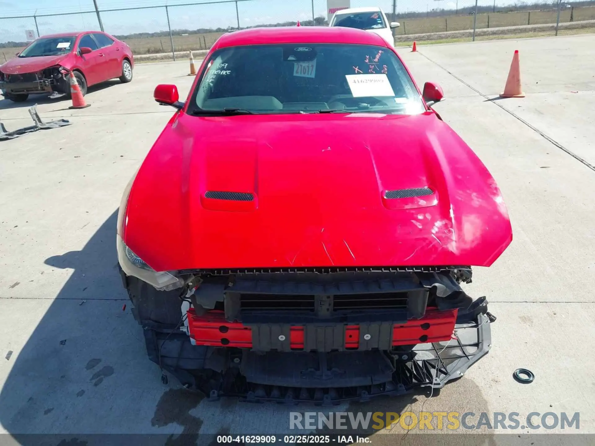 12 Photograph of a damaged car 1FA6P8TH1N5101036 FORD MUSTANG 2022