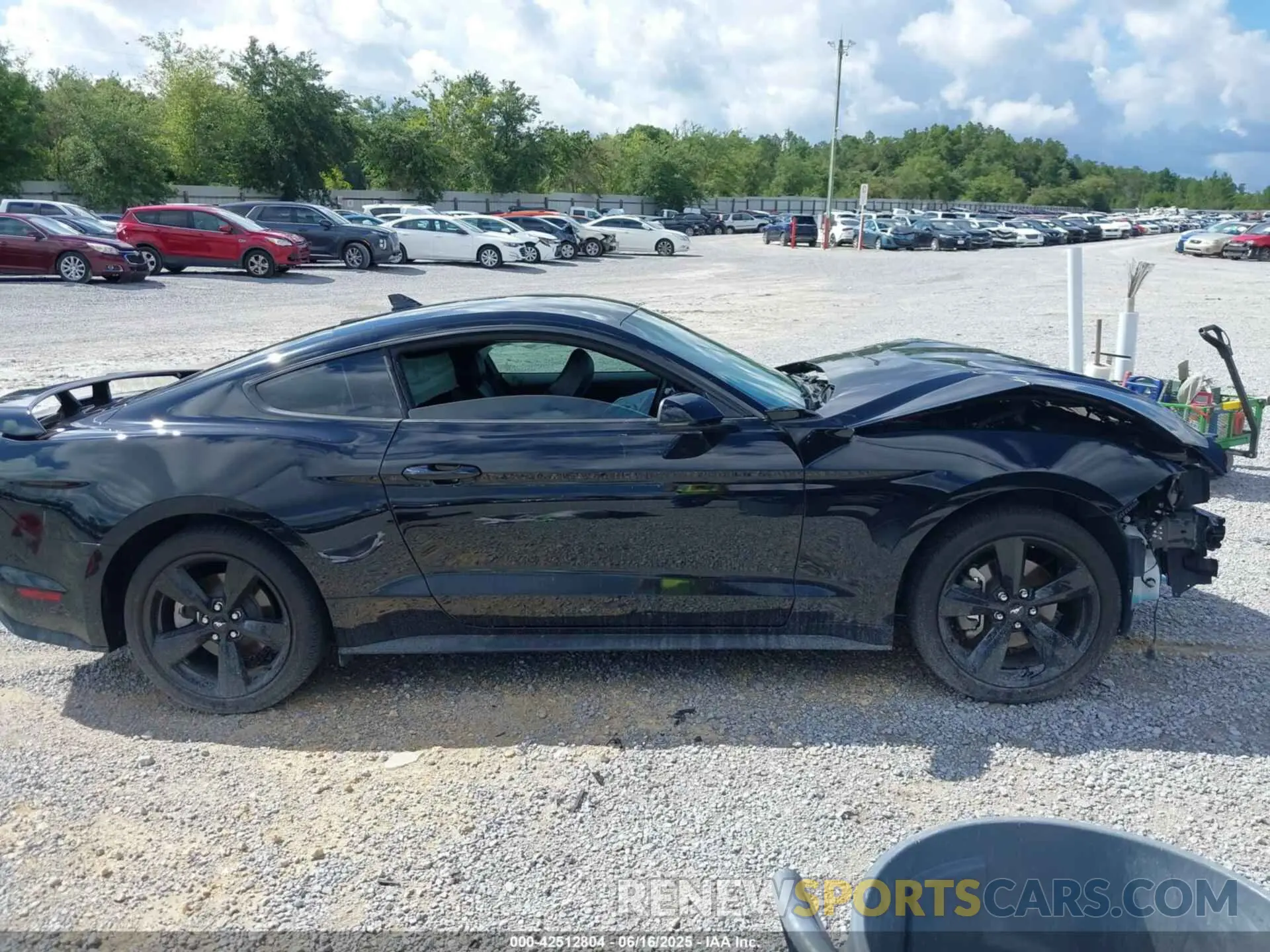 13 Photograph of a damaged car 1FA6P8TH1N5150611 FORD MUSTANG 2022