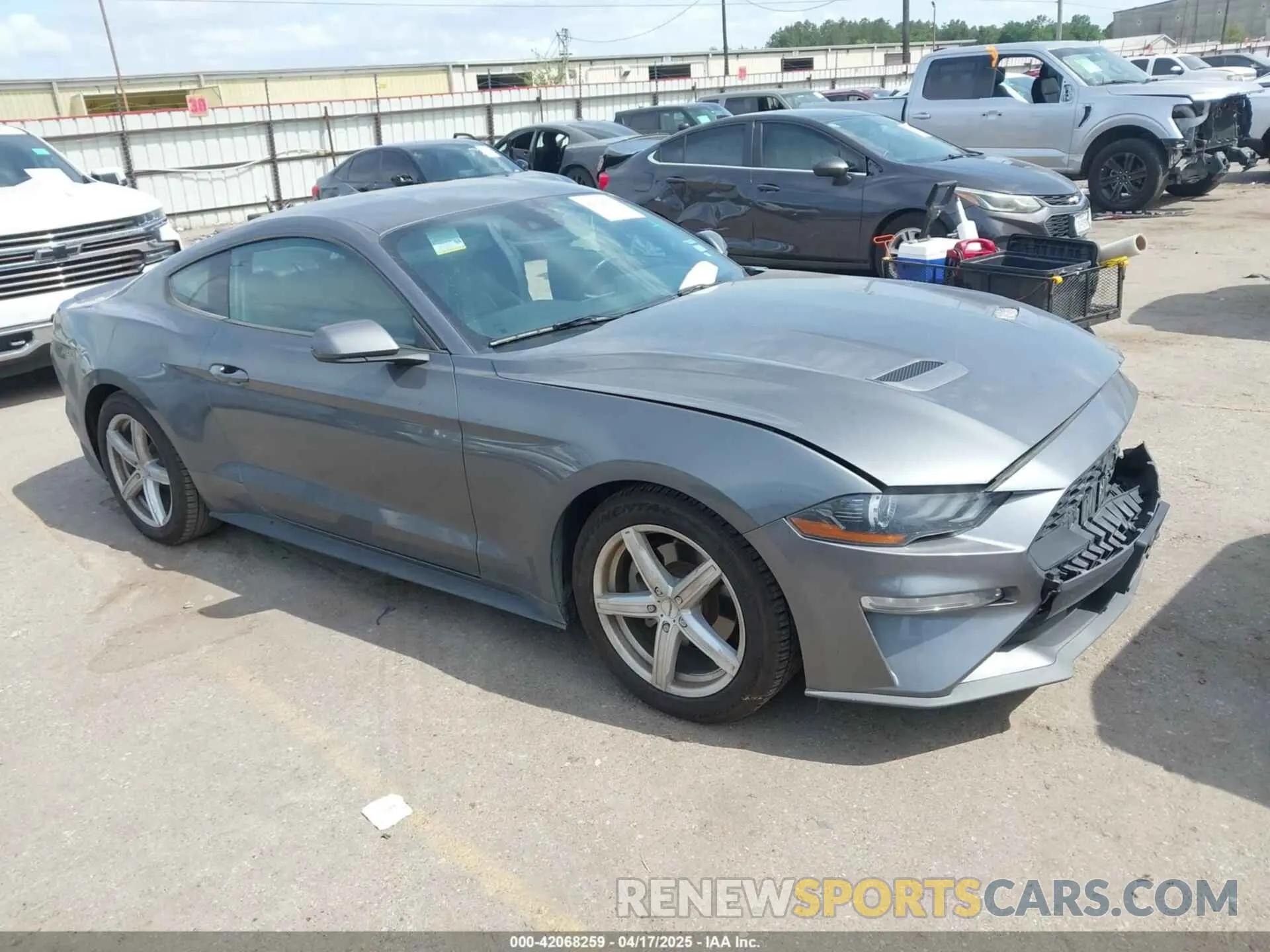 1 Фотография поврежденного автомобиля 1FA6P8TH2N5104155 FORD MUSTANG 2022