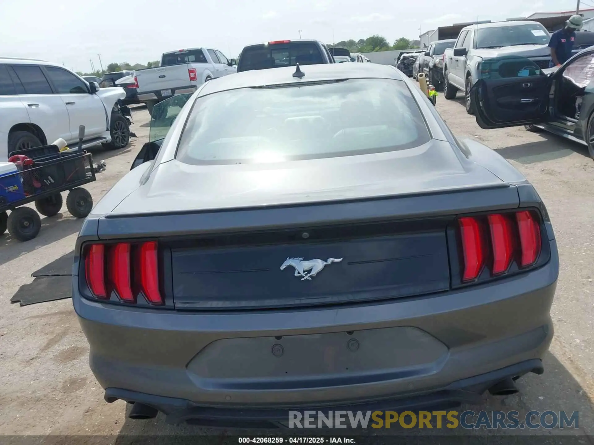 16 Фотография поврежденного автомобиля 1FA6P8TH2N5104155 FORD MUSTANG 2022