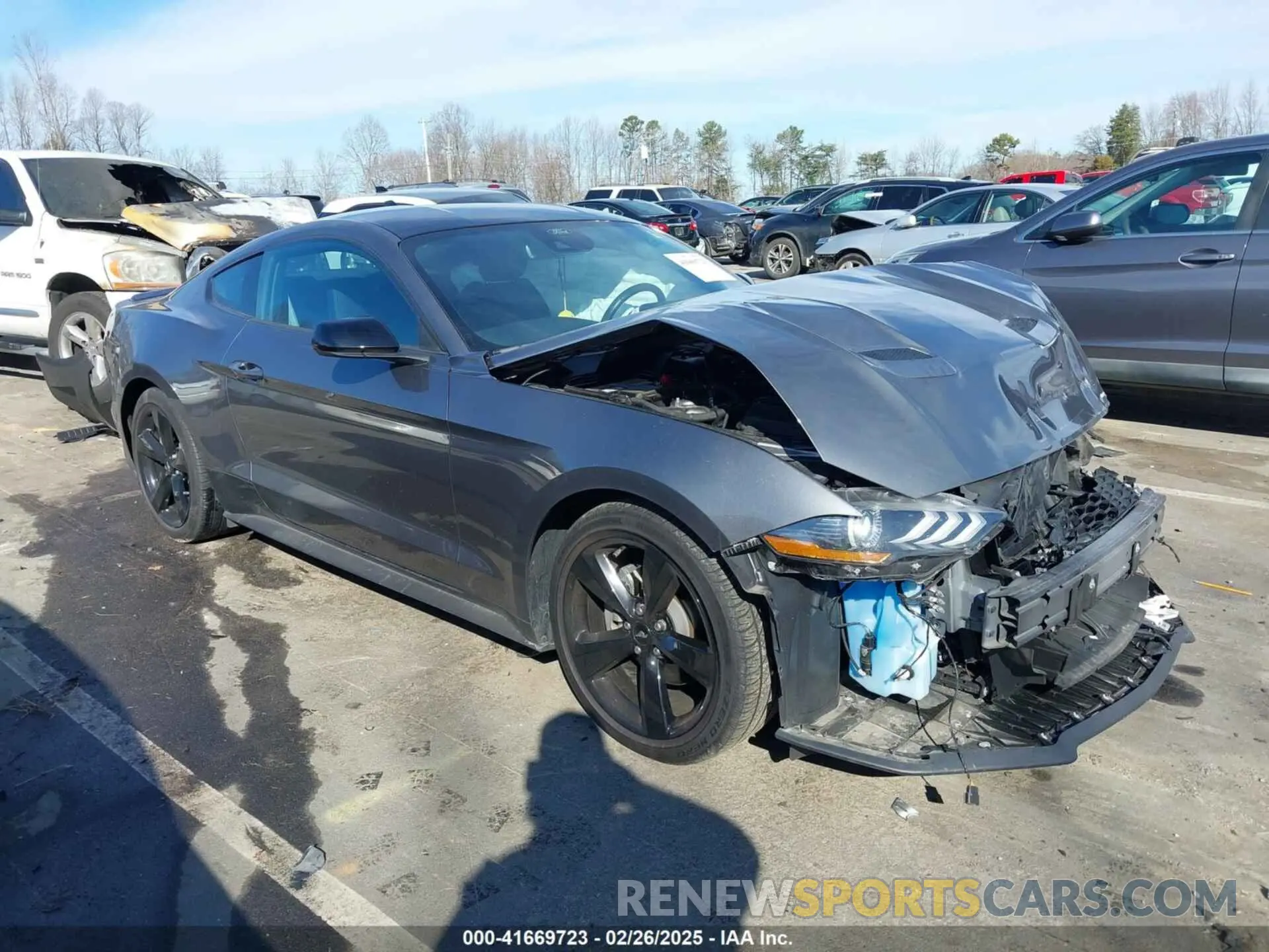 1 Фотография поврежденного автомобиля 1FA6P8TH2N5141464 FORD MUSTANG 2022