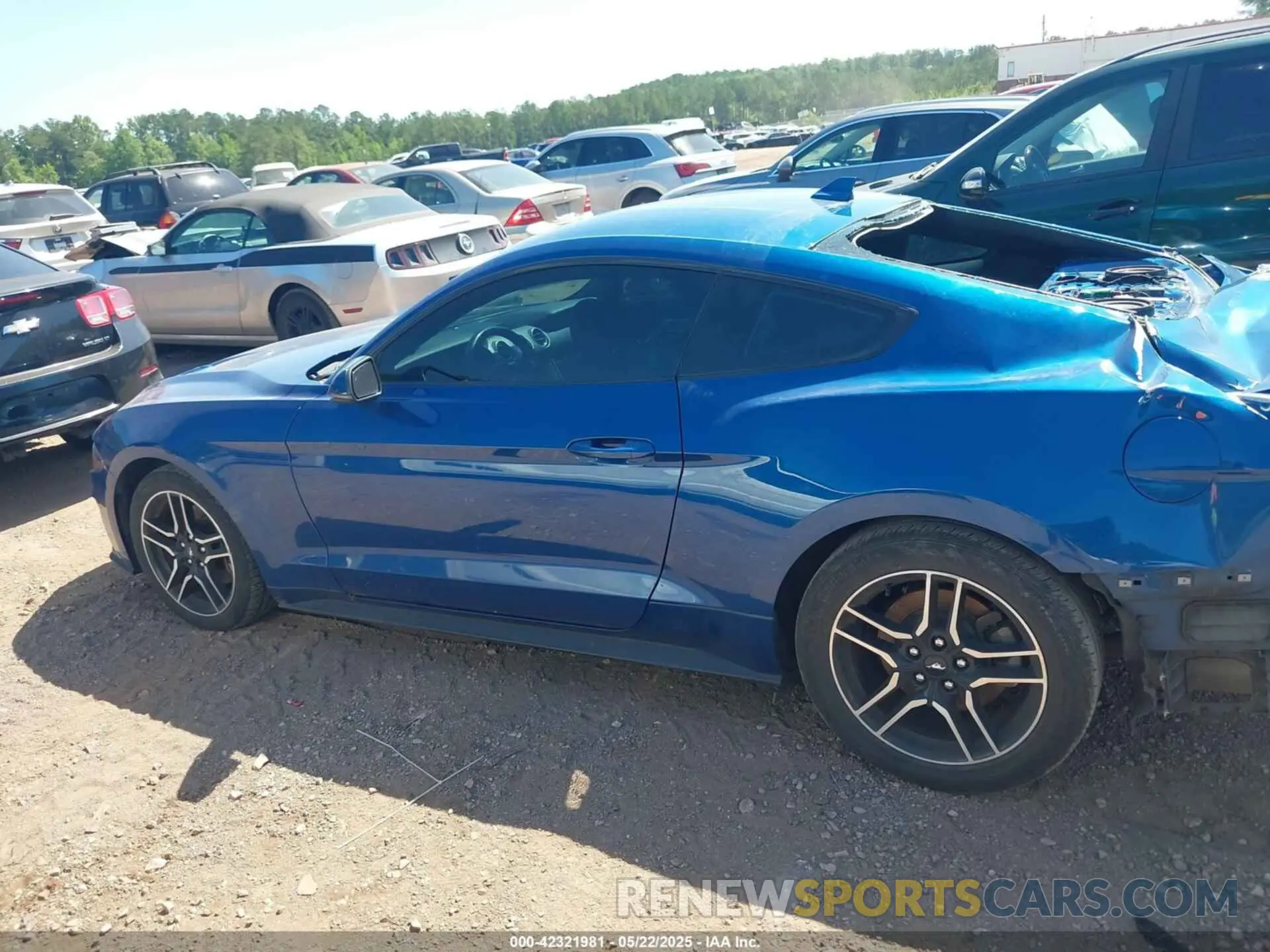 15 Photograph of a damaged car 1FA6P8TH3N5126326 FORD MUSTANG 2022