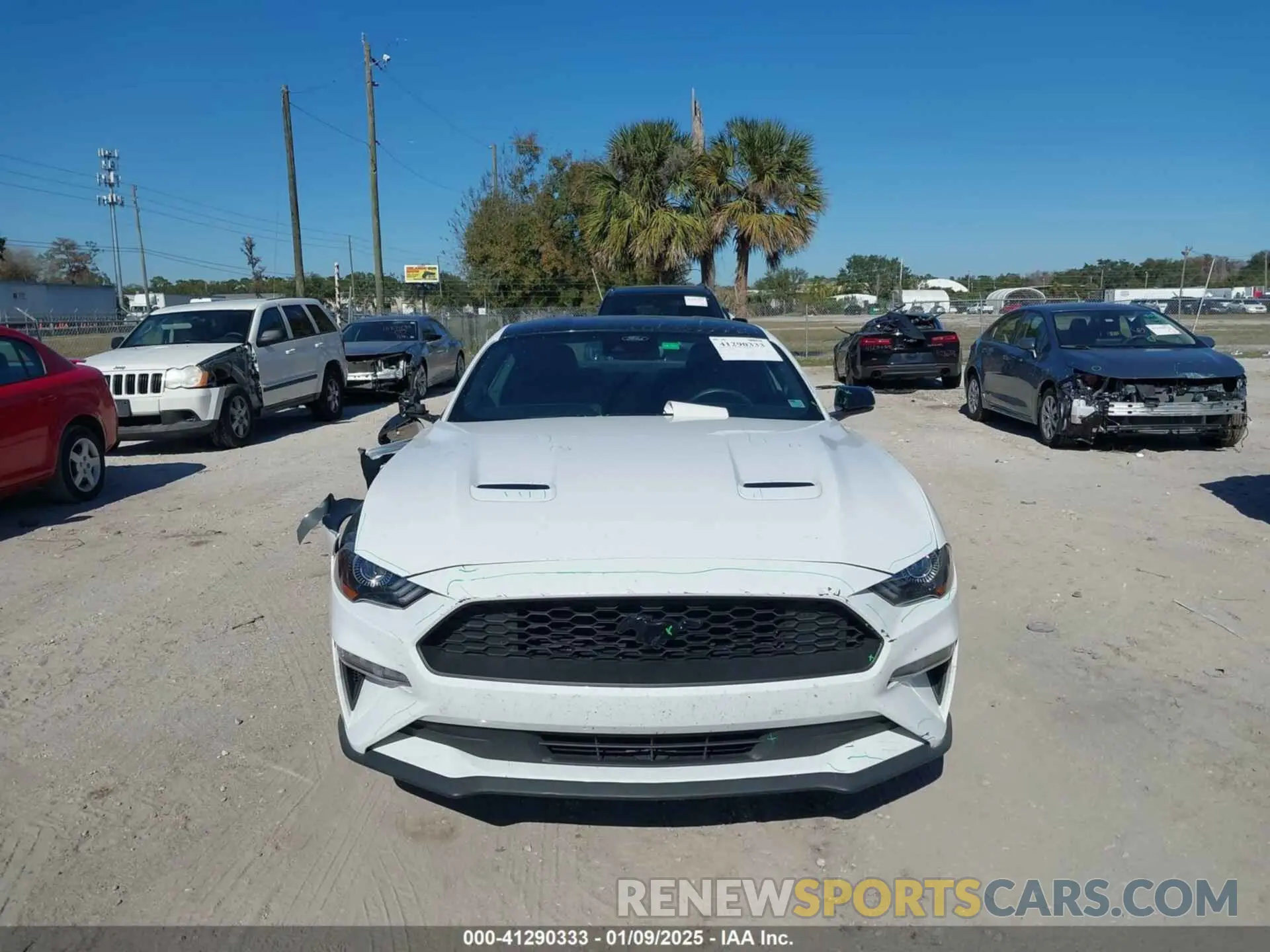 12 Фотография поврежденного автомобиля 1FA6P8TH5N5139871 FORD MUSTANG 2022