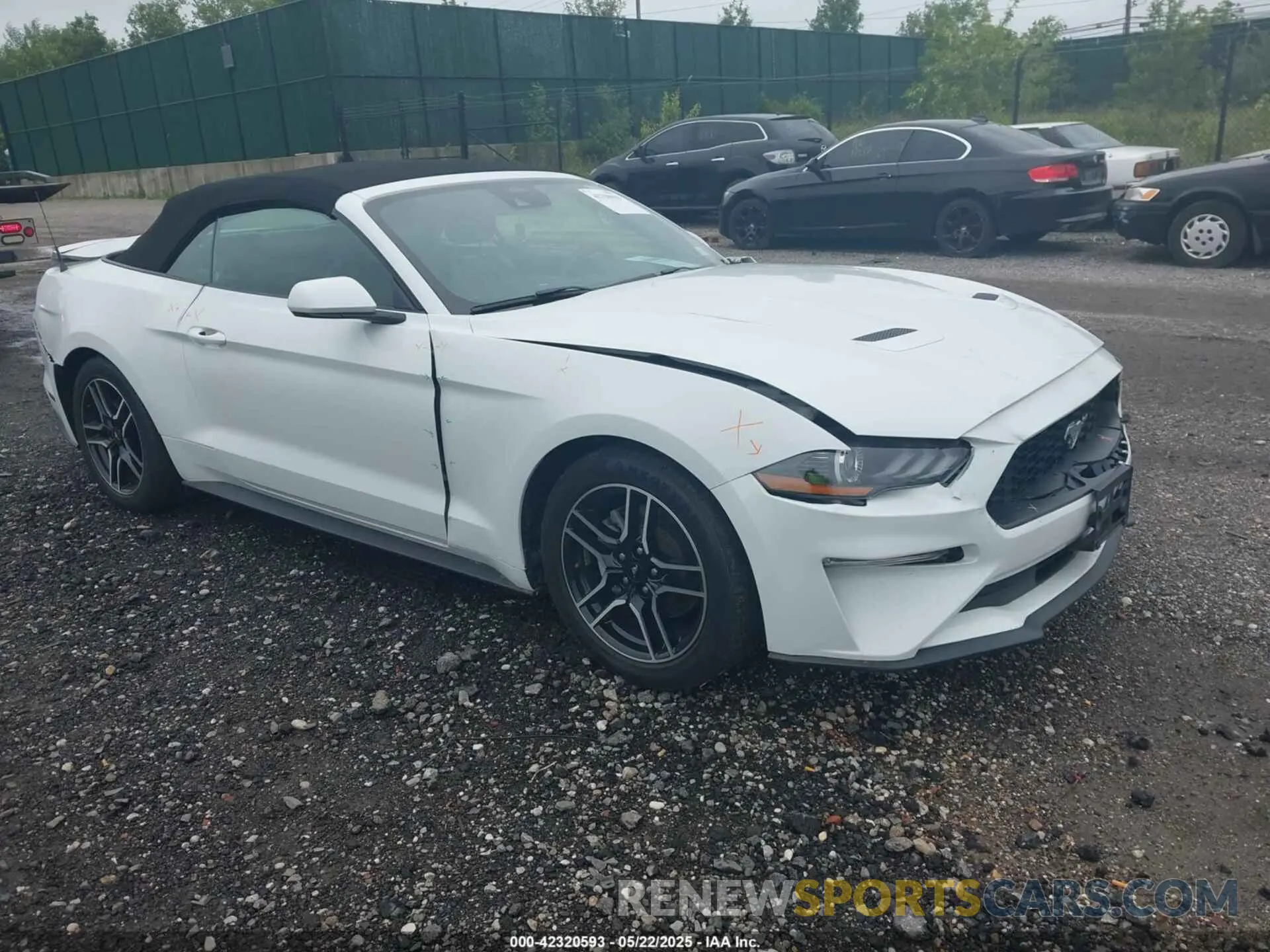 1 Фотография поврежденного автомобиля 1FATP8UH3N5104988 FORD MUSTANG 2022