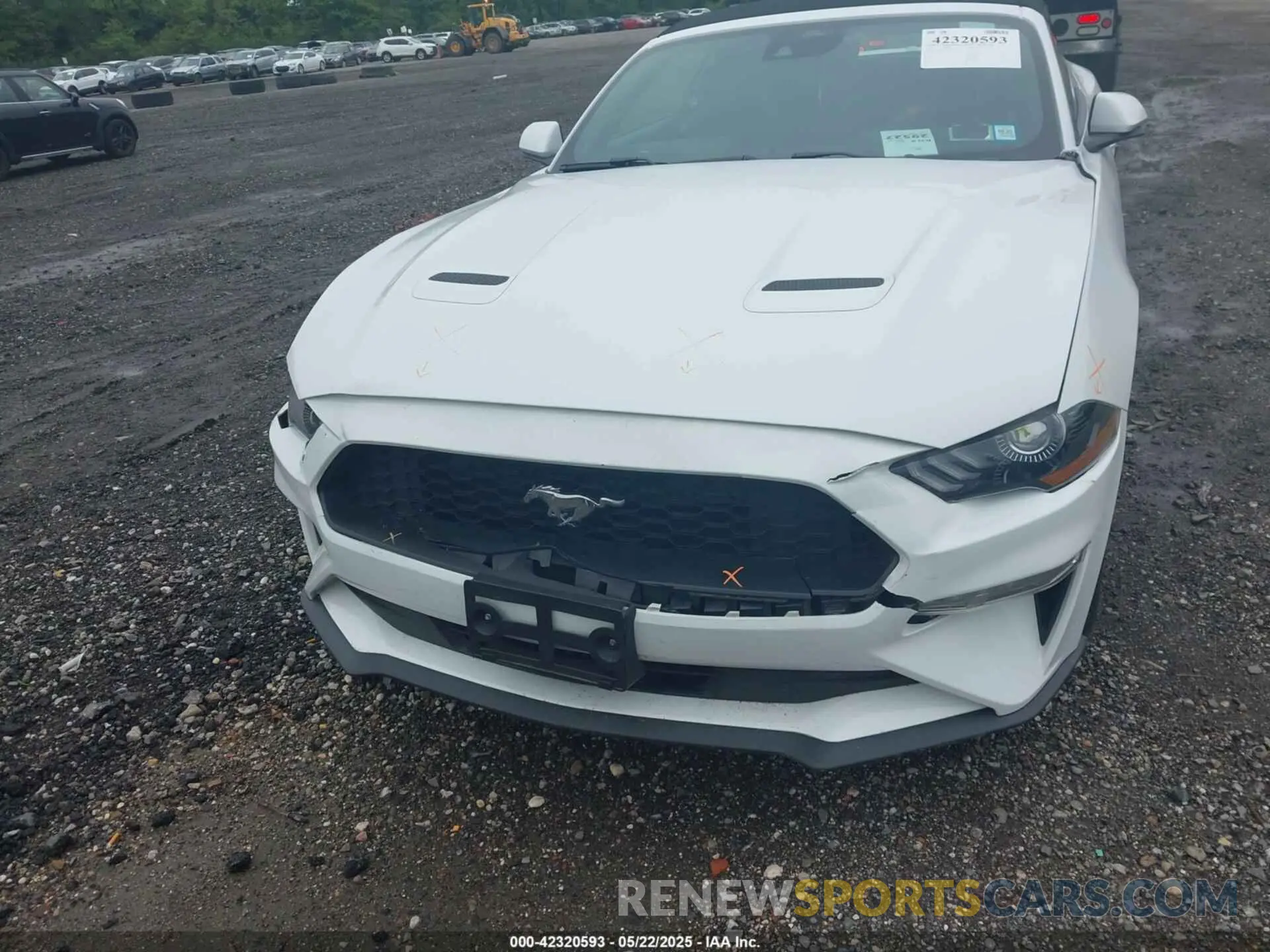 12 Фотография поврежденного автомобиля 1FATP8UH3N5104988 FORD MUSTANG 2022