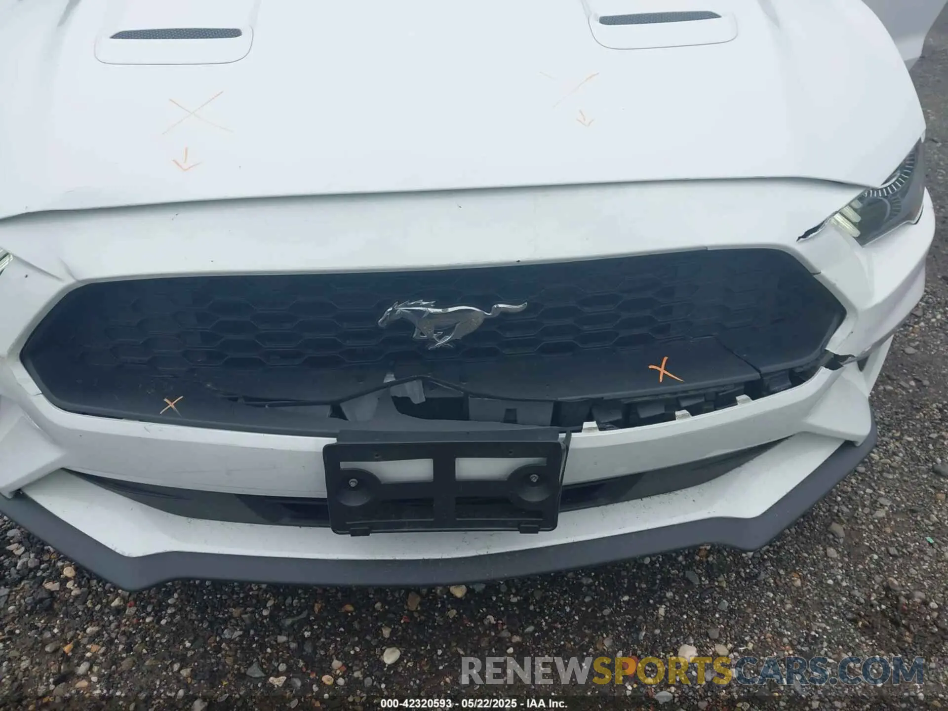20 Фотография поврежденного автомобиля 1FATP8UH3N5104988 FORD MUSTANG 2022