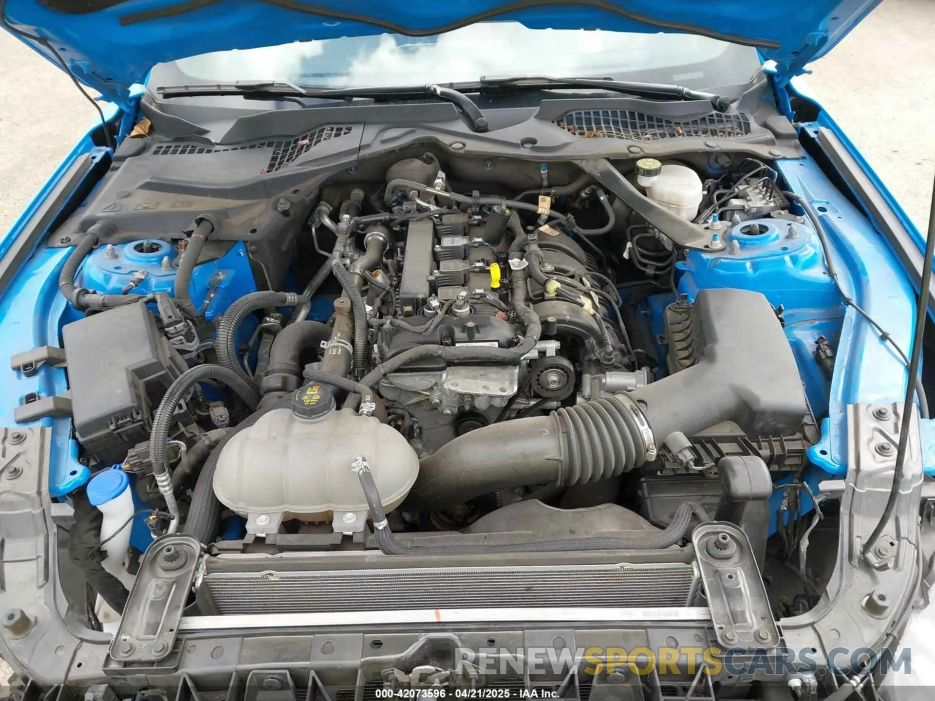 10 Photograph of a damaged car 1FATP8UH3N5124691 FORD MUSTANG 2022