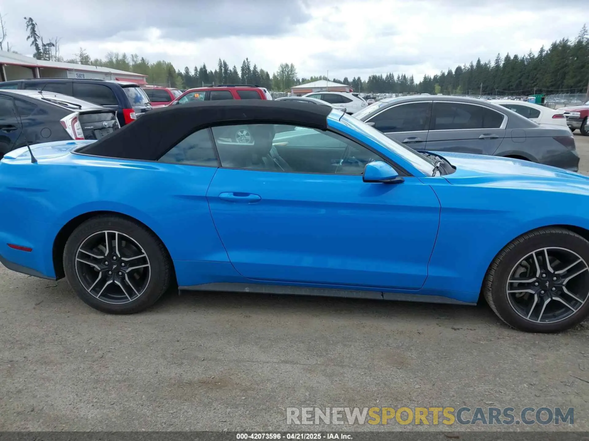 14 Photograph of a damaged car 1FATP8UH3N5124691 FORD MUSTANG 2022