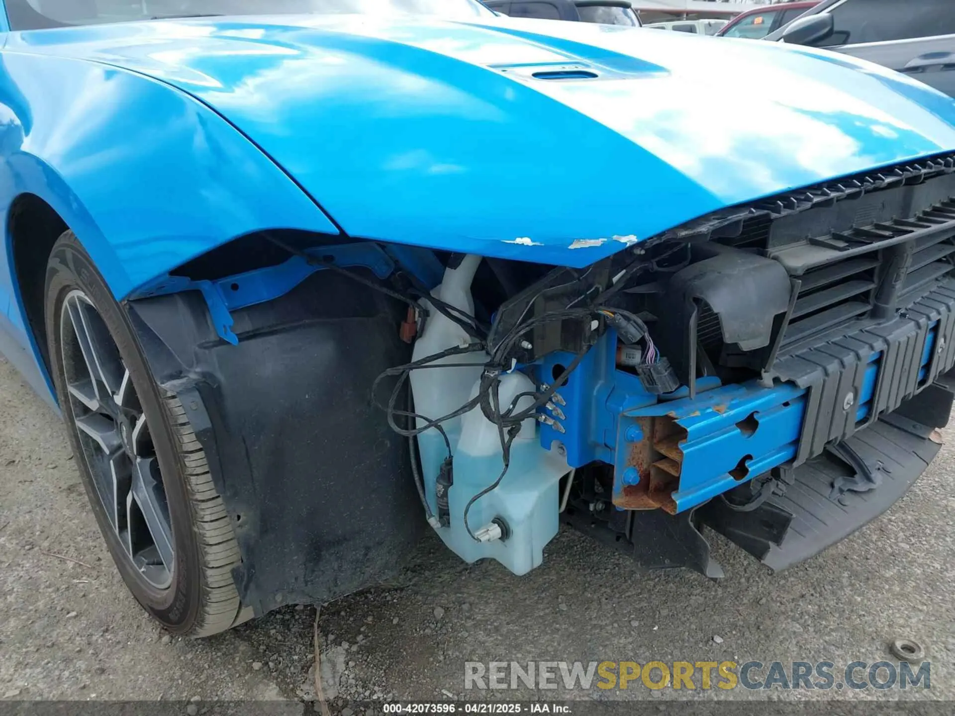 19 Photograph of a damaged car 1FATP8UH3N5124691 FORD MUSTANG 2022