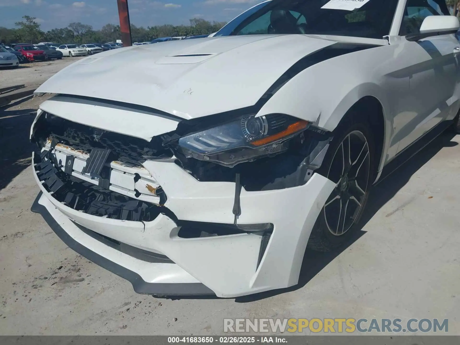 16 Photograph of a damaged car 1FATP8UH6N5107464 FORD MUSTANG 2022