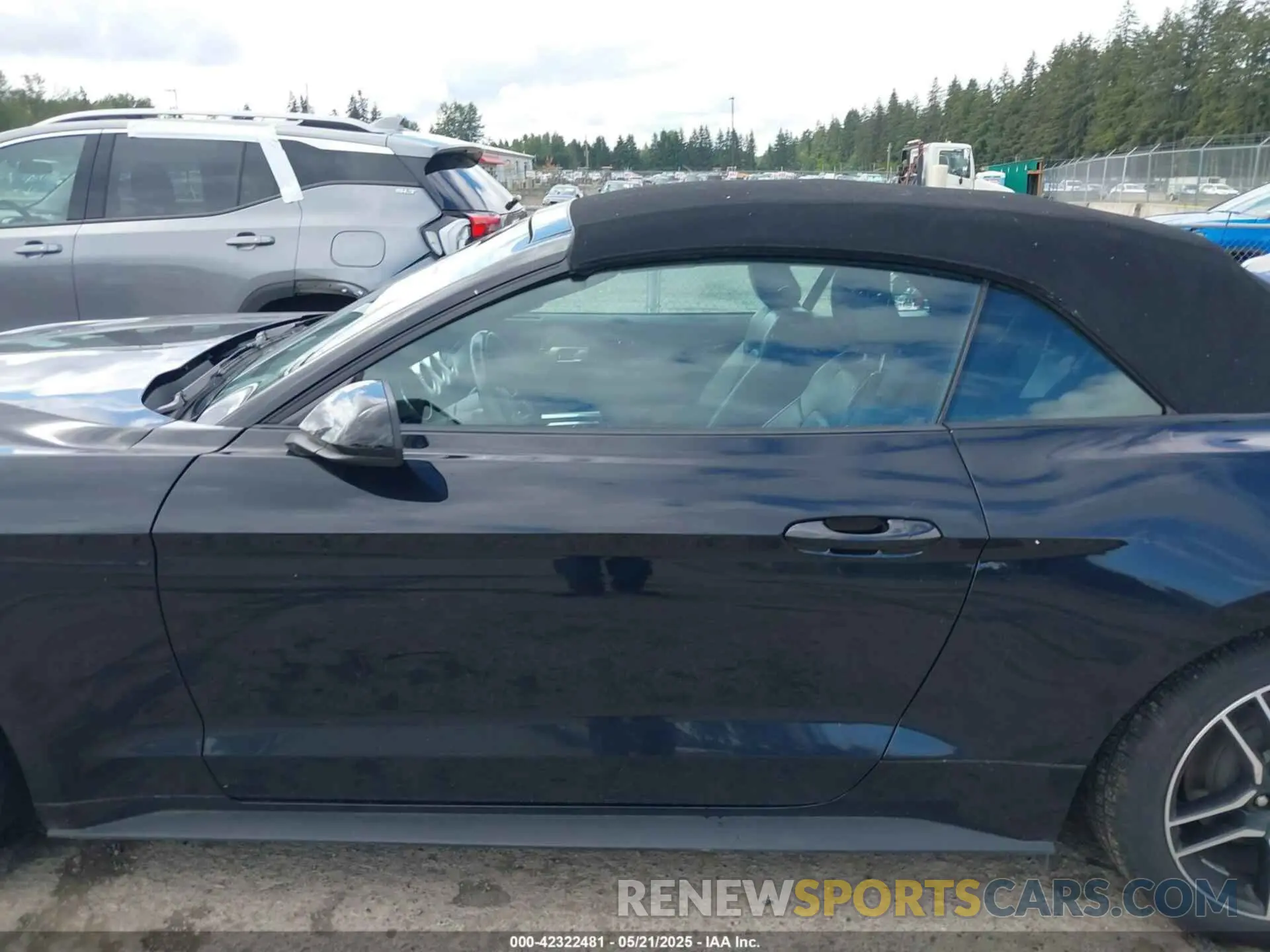 14 Photograph of a damaged car 1FATP8UH7N5124631 FORD MUSTANG 2022