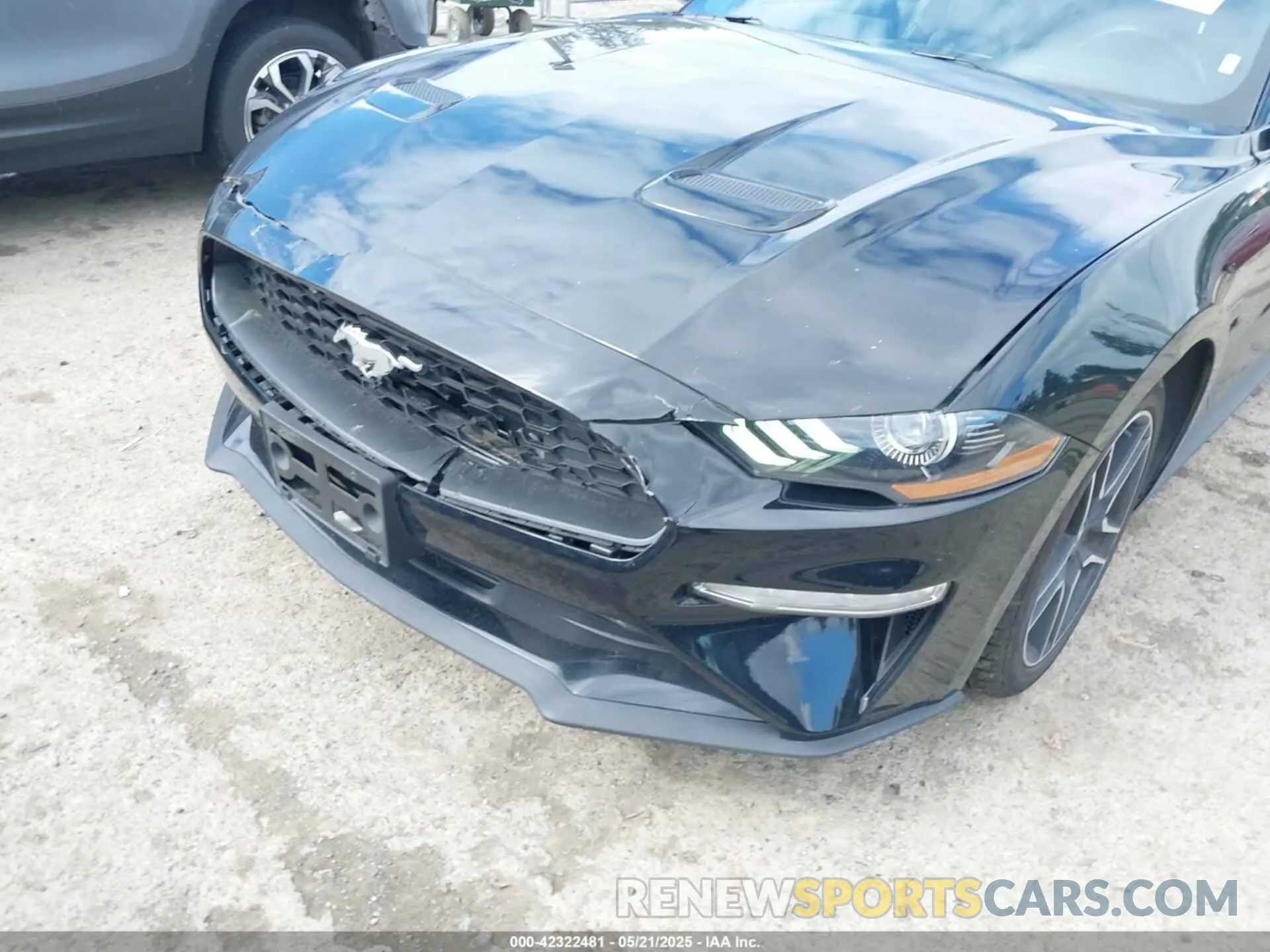 17 Photograph of a damaged car 1FATP8UH7N5124631 FORD MUSTANG 2022