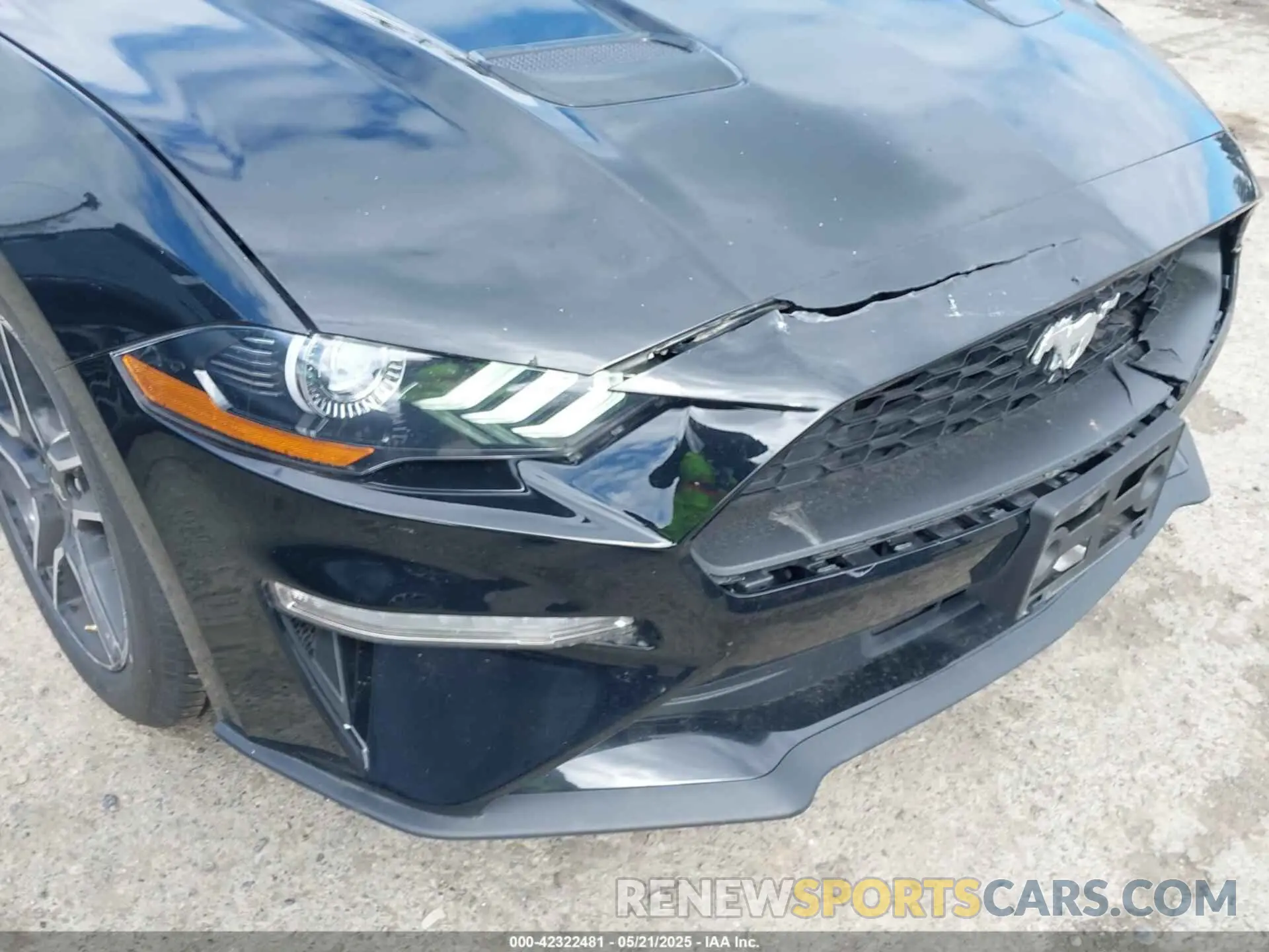 6 Photograph of a damaged car 1FATP8UH7N5124631 FORD MUSTANG 2022