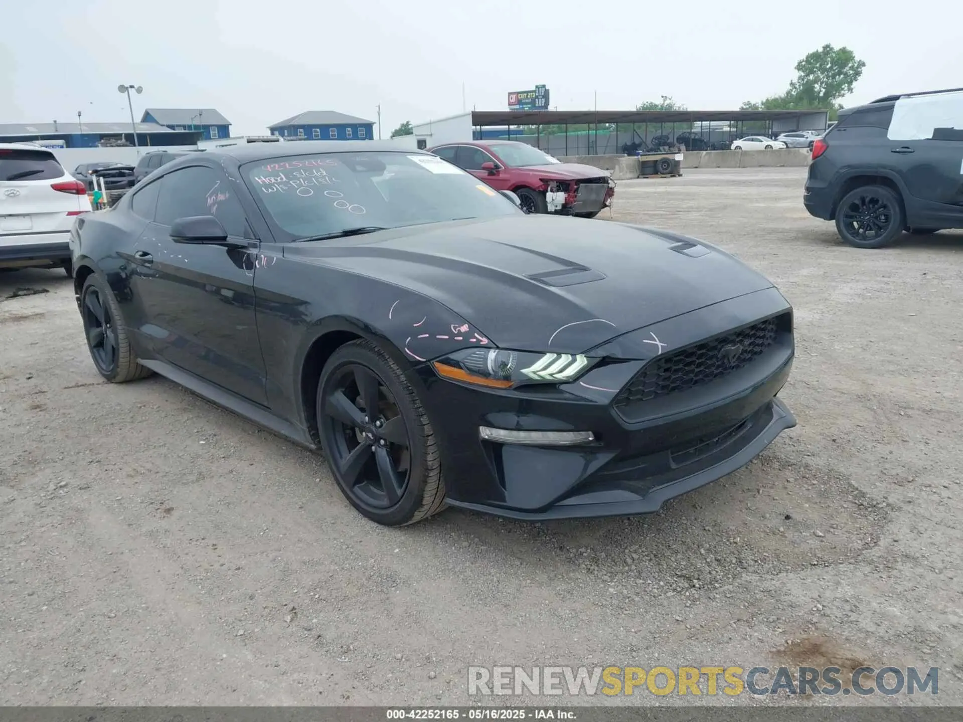 1 Photograph of a damaged car 1FA6P8TH1P5106126 FORD MUSTANG 2023