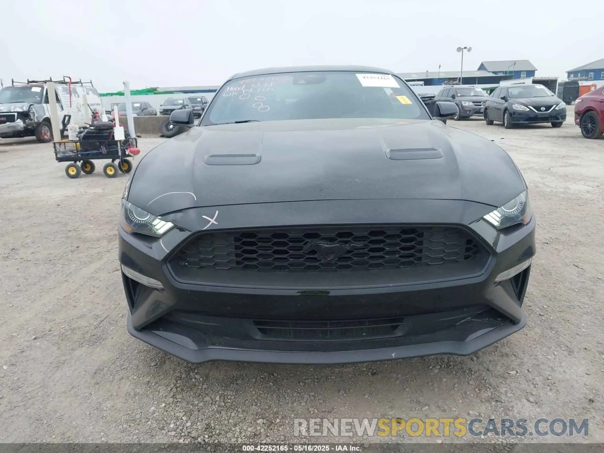 13 Photograph of a damaged car 1FA6P8TH1P5106126 FORD MUSTANG 2023