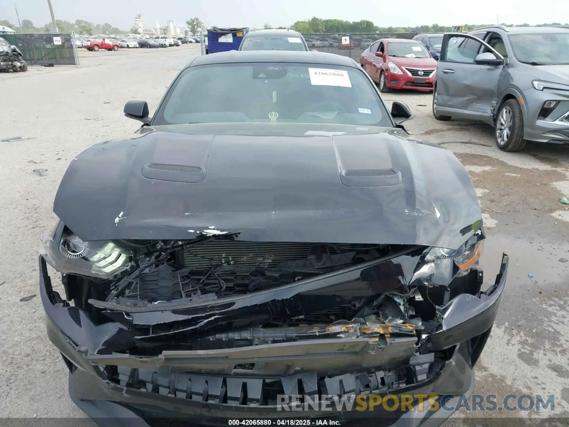 12 Photograph of a damaged car 1FA6P8TH4P5112129 FORD MUSTANG 2023