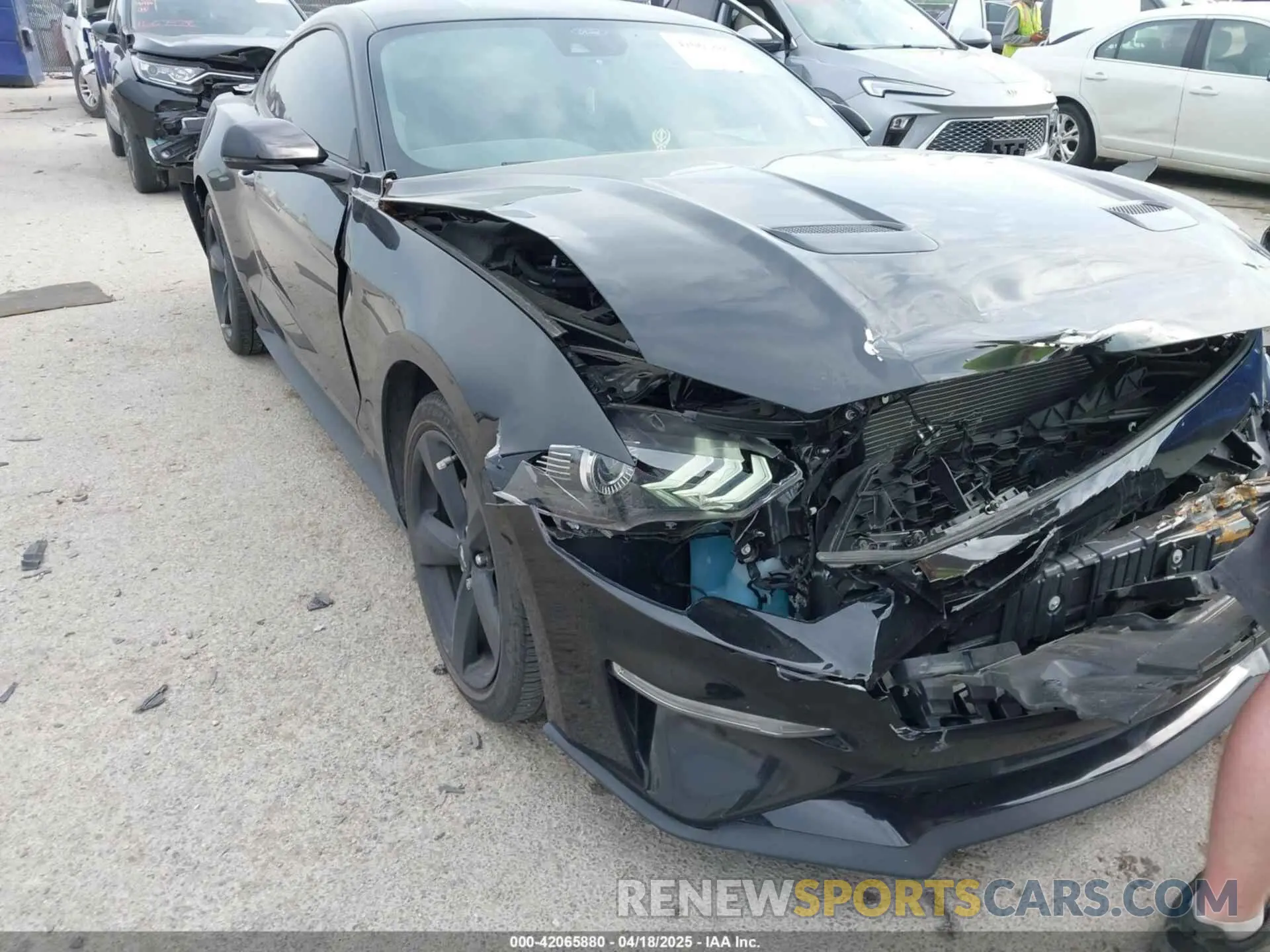 6 Photograph of a damaged car 1FA6P8TH4P5112129 FORD MUSTANG 2023
