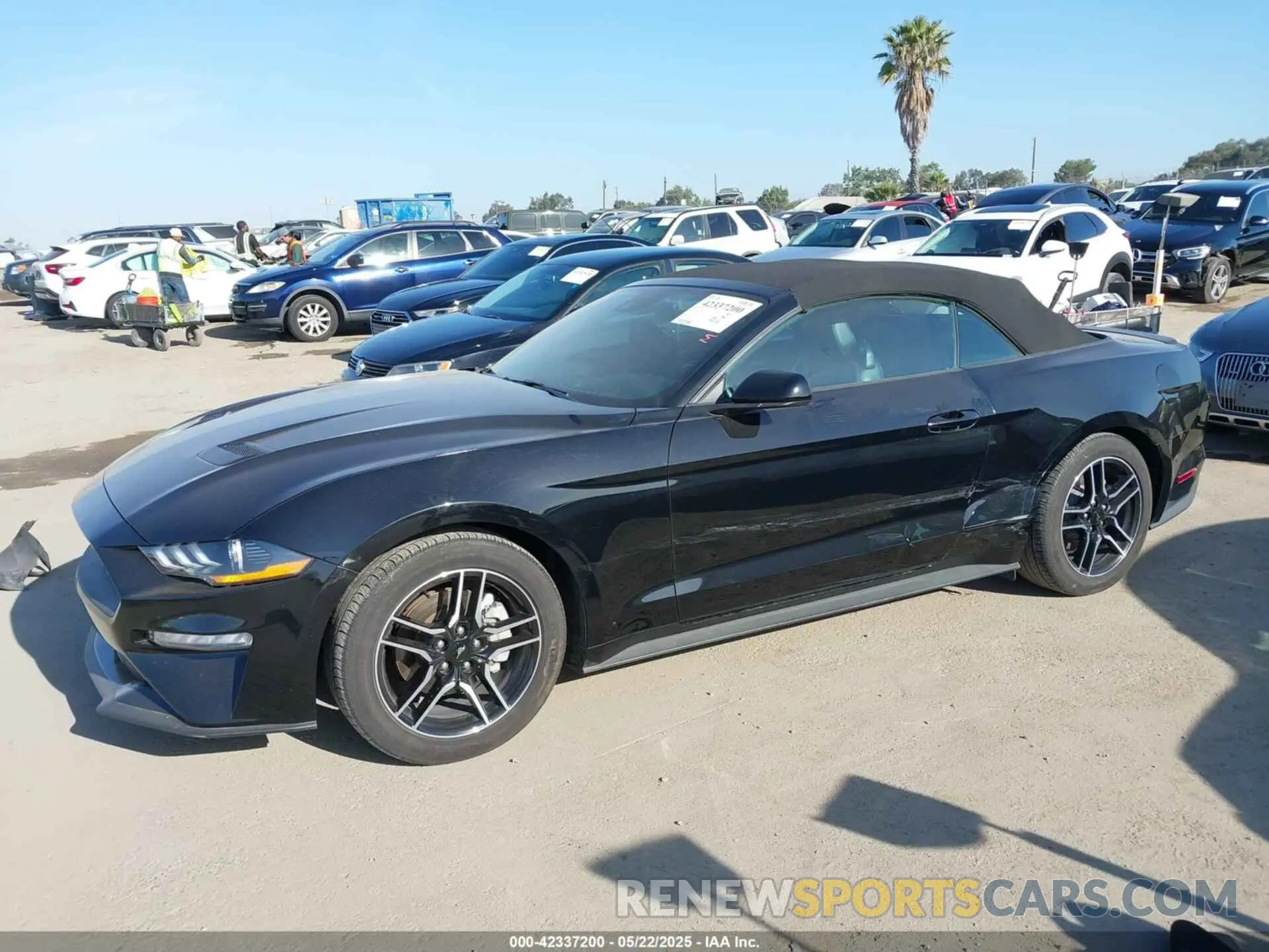 14 Photograph of a damaged car 1FATP8UH5P5103747 FORD MUSTANG 2023