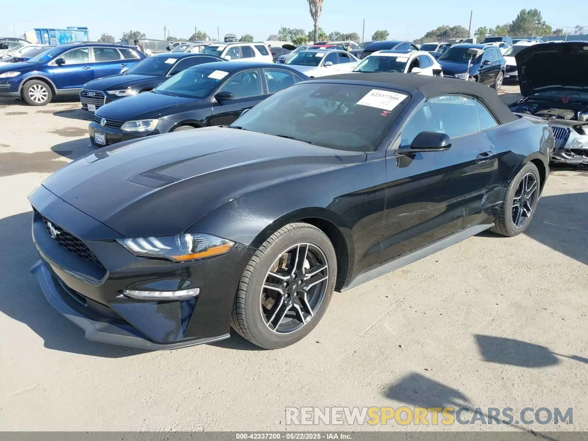 2 Photograph of a damaged car 1FATP8UH5P5103747 FORD MUSTANG 2023