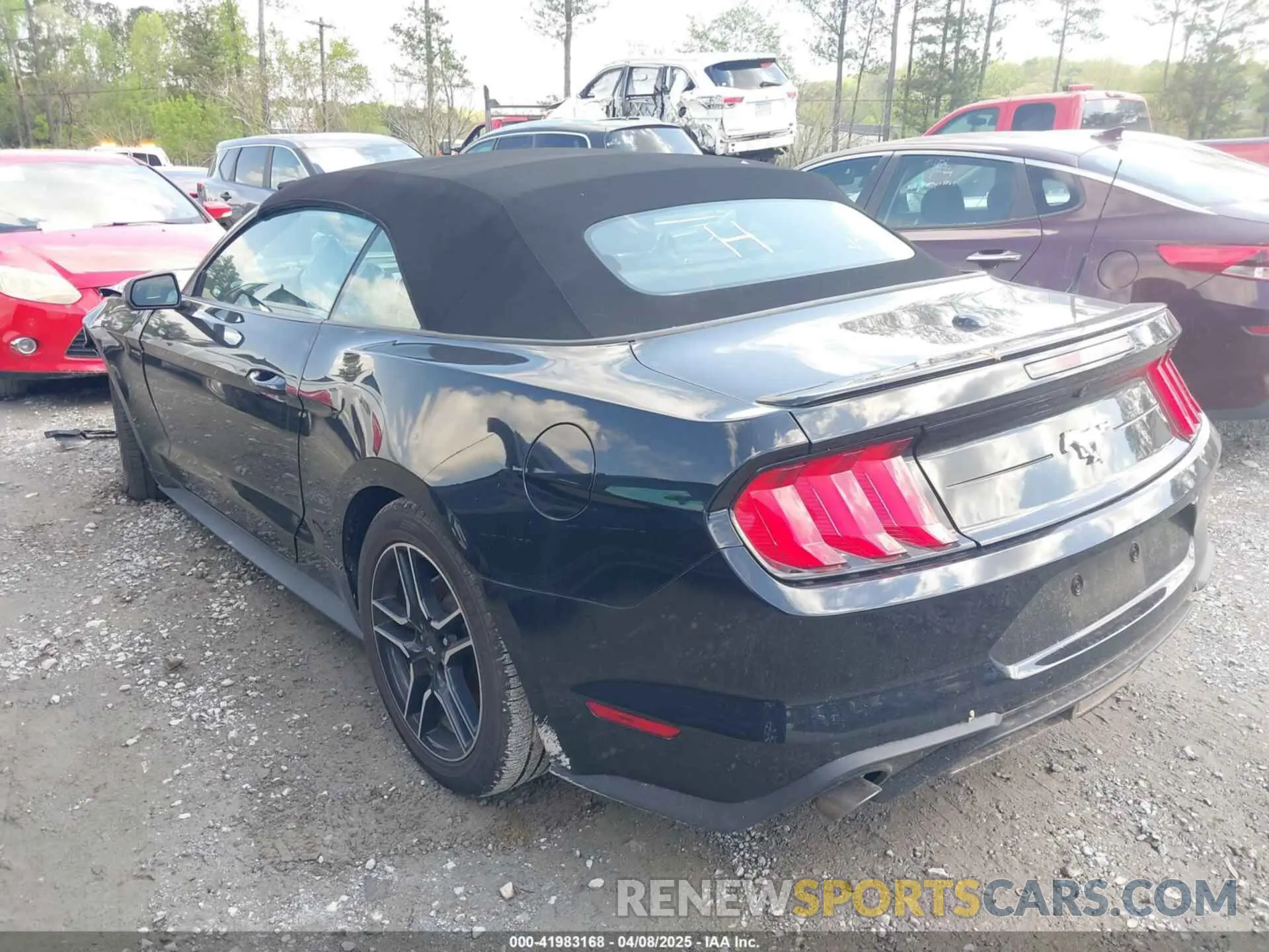 14 Photograph of a damaged car 1FATP8UH6P5105295 FORD MUSTANG 2023