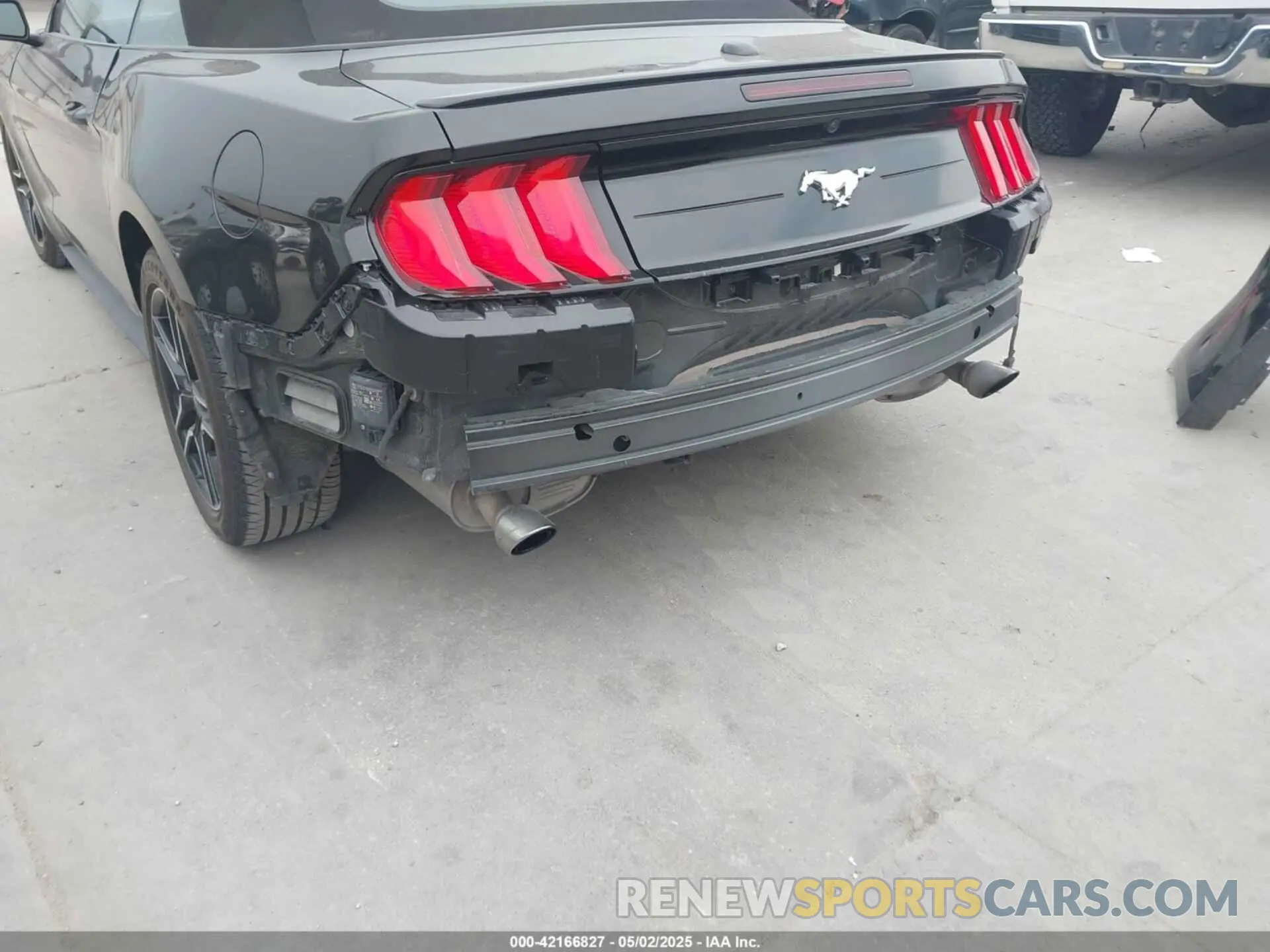 19 Photograph of a damaged car 1FATP8UH9P5103685 FORD MUSTANG 2023