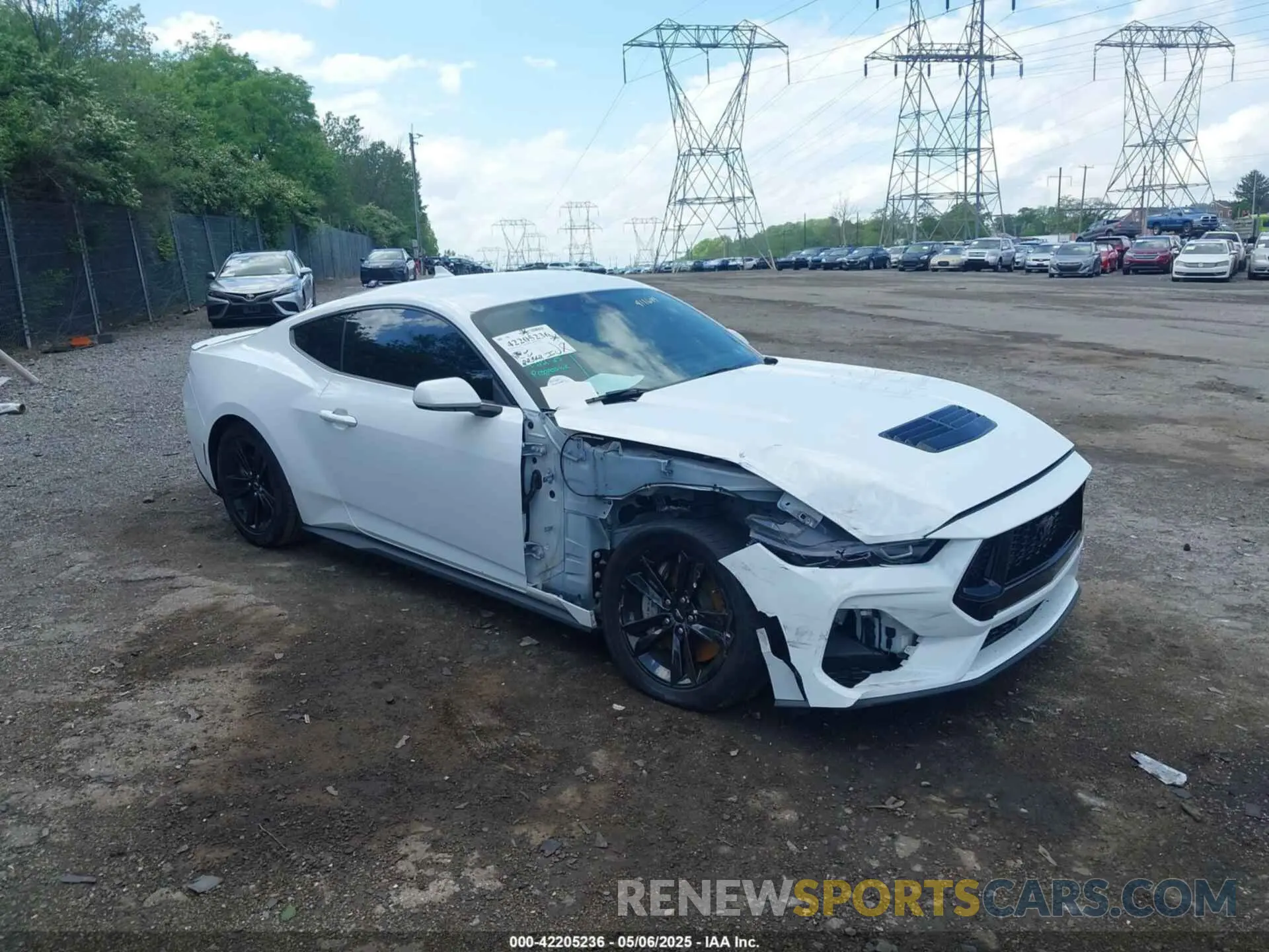 1 Photograph of a damaged car 1FA6P8CF0R5411649 FORD MUSTANG 2024
