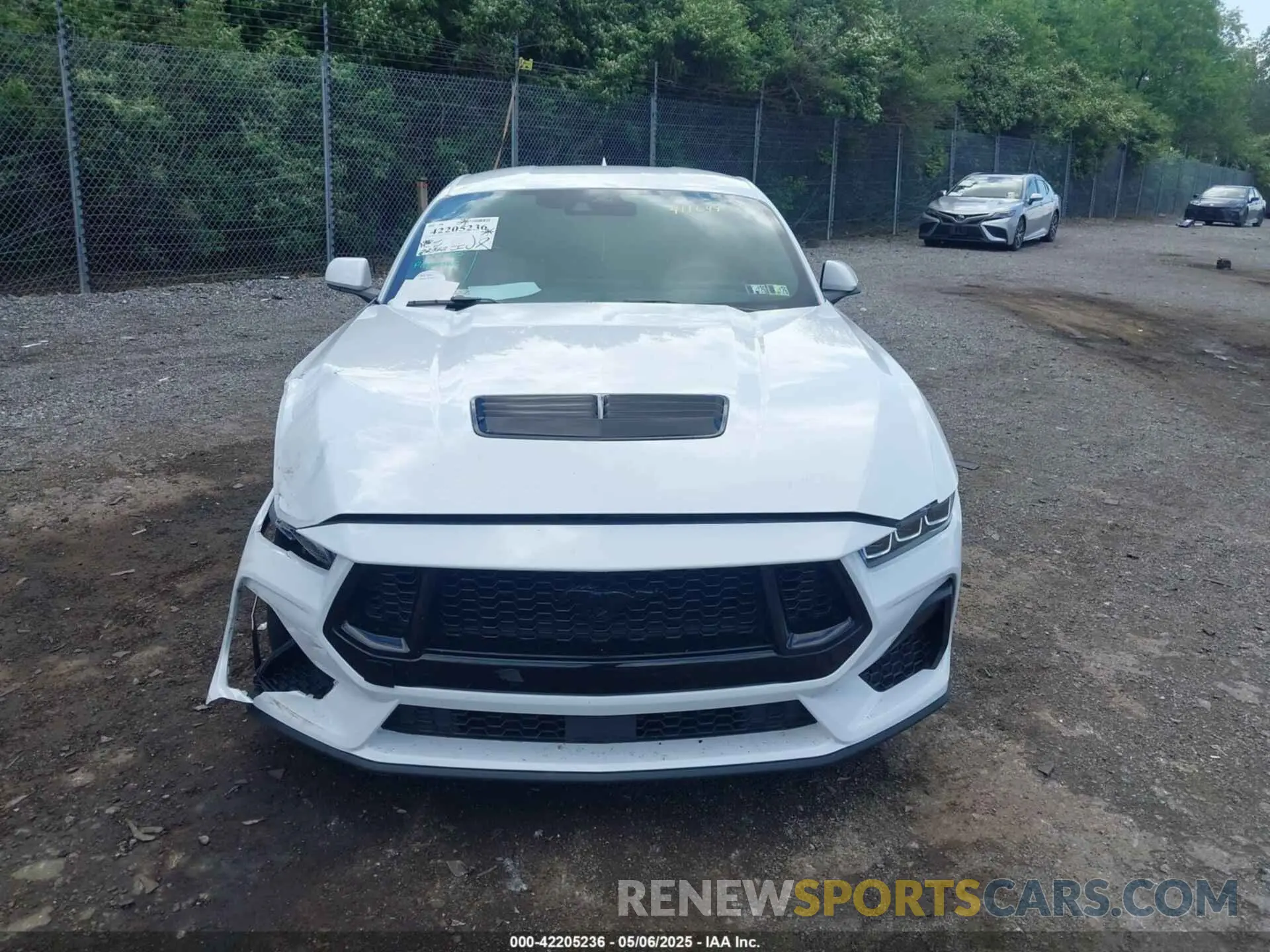 12 Photograph of a damaged car 1FA6P8CF0R5411649 FORD MUSTANG 2024