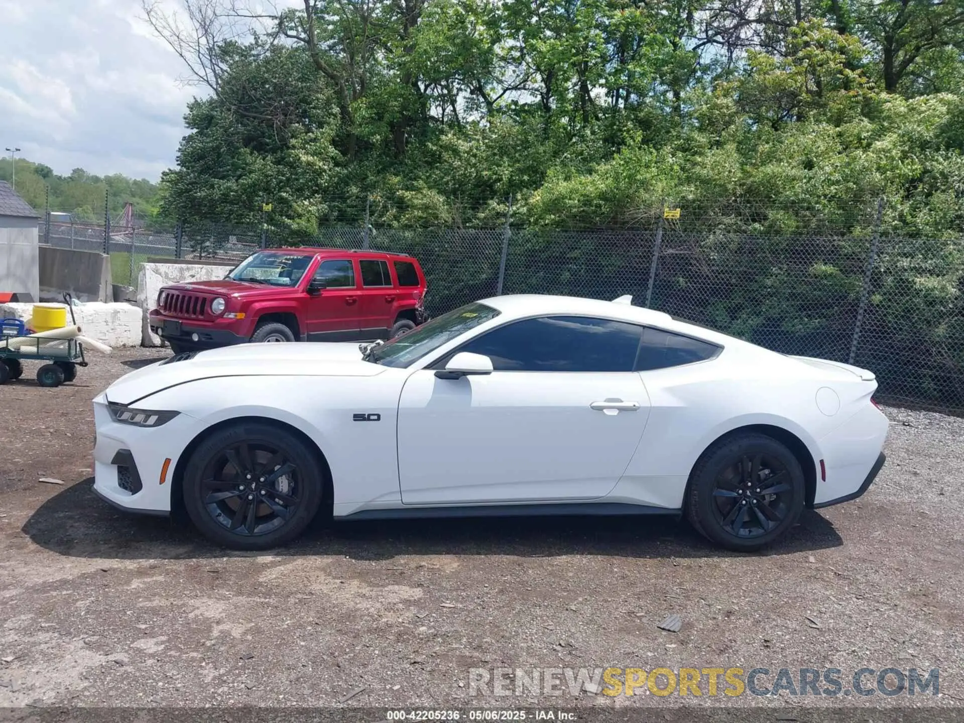 14 Photograph of a damaged car 1FA6P8CF0R5411649 FORD MUSTANG 2024