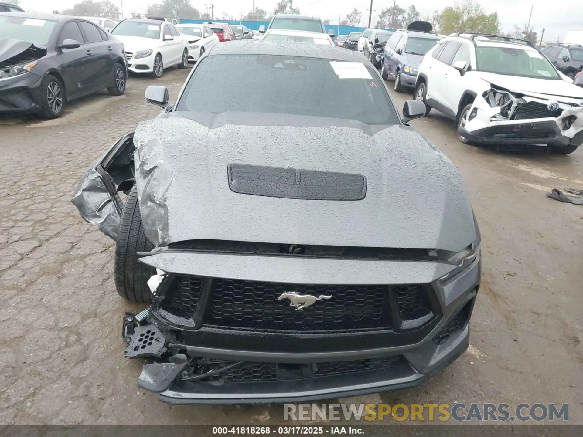 12 Photograph of a damaged car 1FA6P8CF1R5418934 FORD MUSTANG 2024