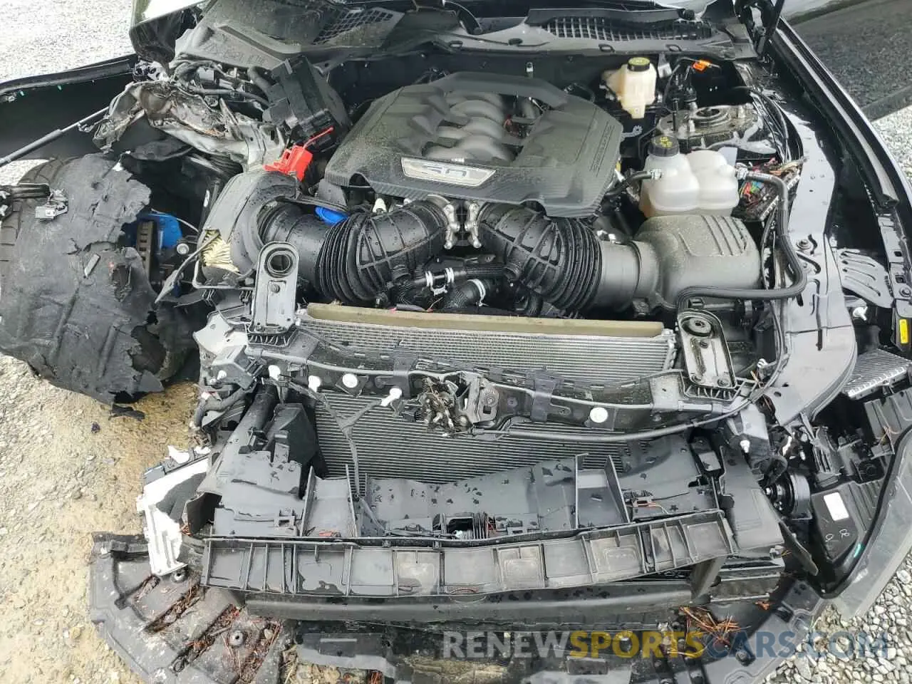 12 Photograph of a damaged car 1FA6P8CF1R5434566 FORD MUSTANG 2024