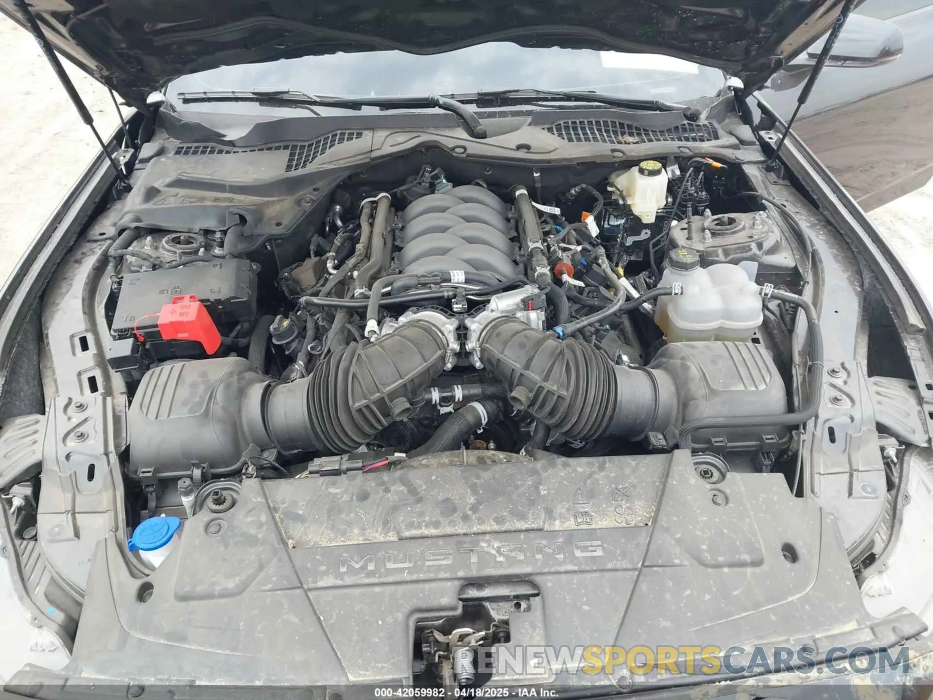 10 Фотография поврежденного автомобиля 1FA6P8CF1R5435071 FORD MUSTANG 2024