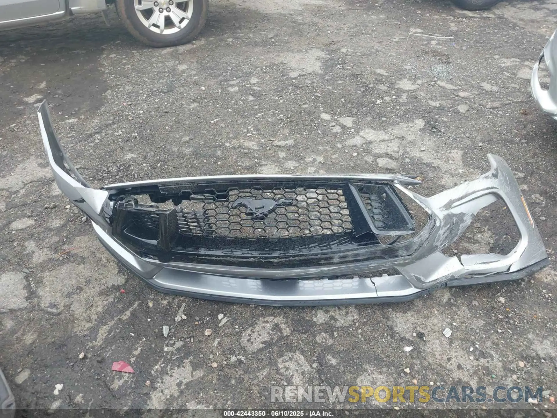 12 Photograph of a damaged car 1FA6P8CF2R5411281 FORD MUSTANG 2024
