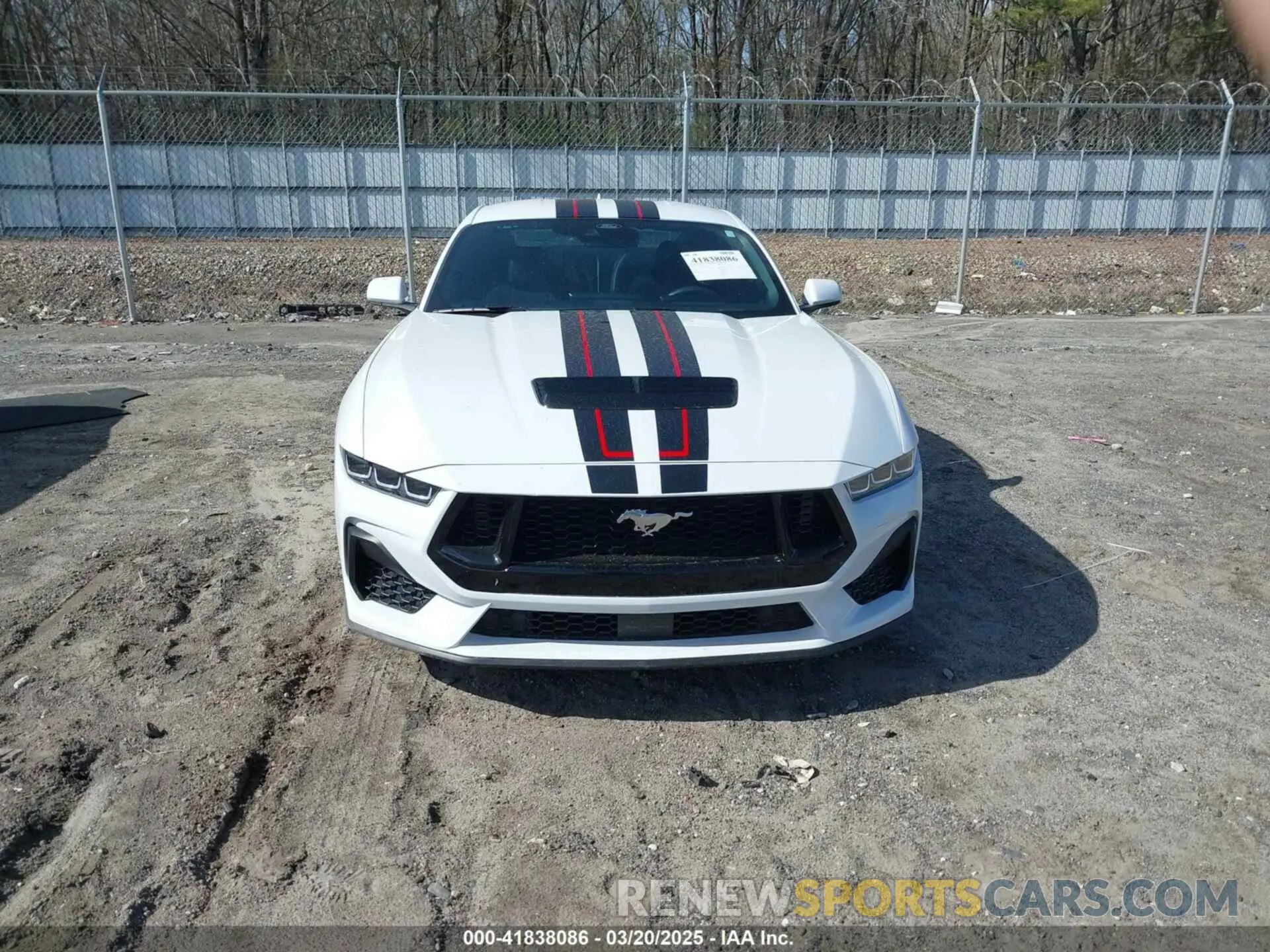 12 Фотография поврежденного автомобиля 1FA6P8CF4R5411654 FORD MUSTANG 2024