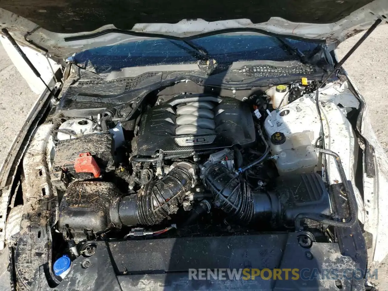 12 Photograph of a damaged car 1FA6P8CF4R5417311 FORD MUSTANG 2024