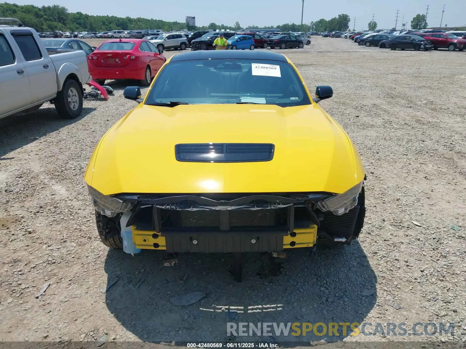 13 Photograph of a damaged car 1FA6P8CF5R5423795 FORD MUSTANG 2024