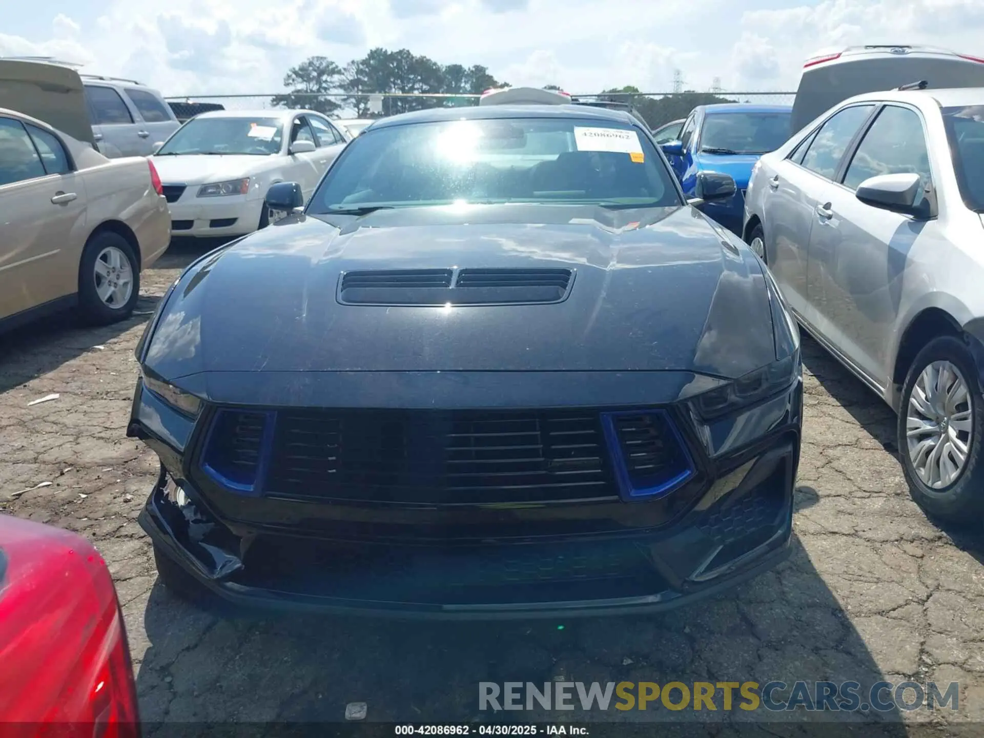12 Фотография поврежденного автомобиля 1FA6P8CF6R5419464 FORD MUSTANG 2024