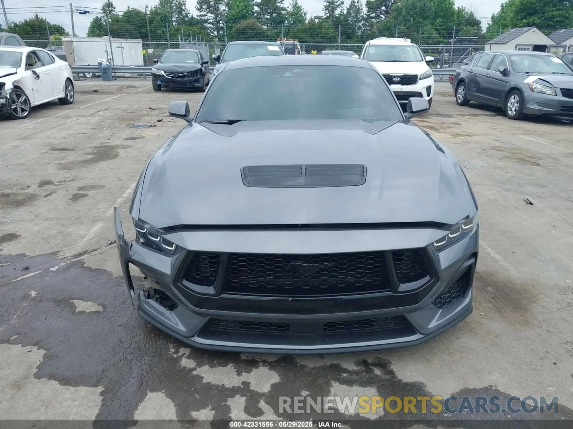 12 Photograph of a damaged car 1FA6P8CF8R5411835 FORD MUSTANG 2024