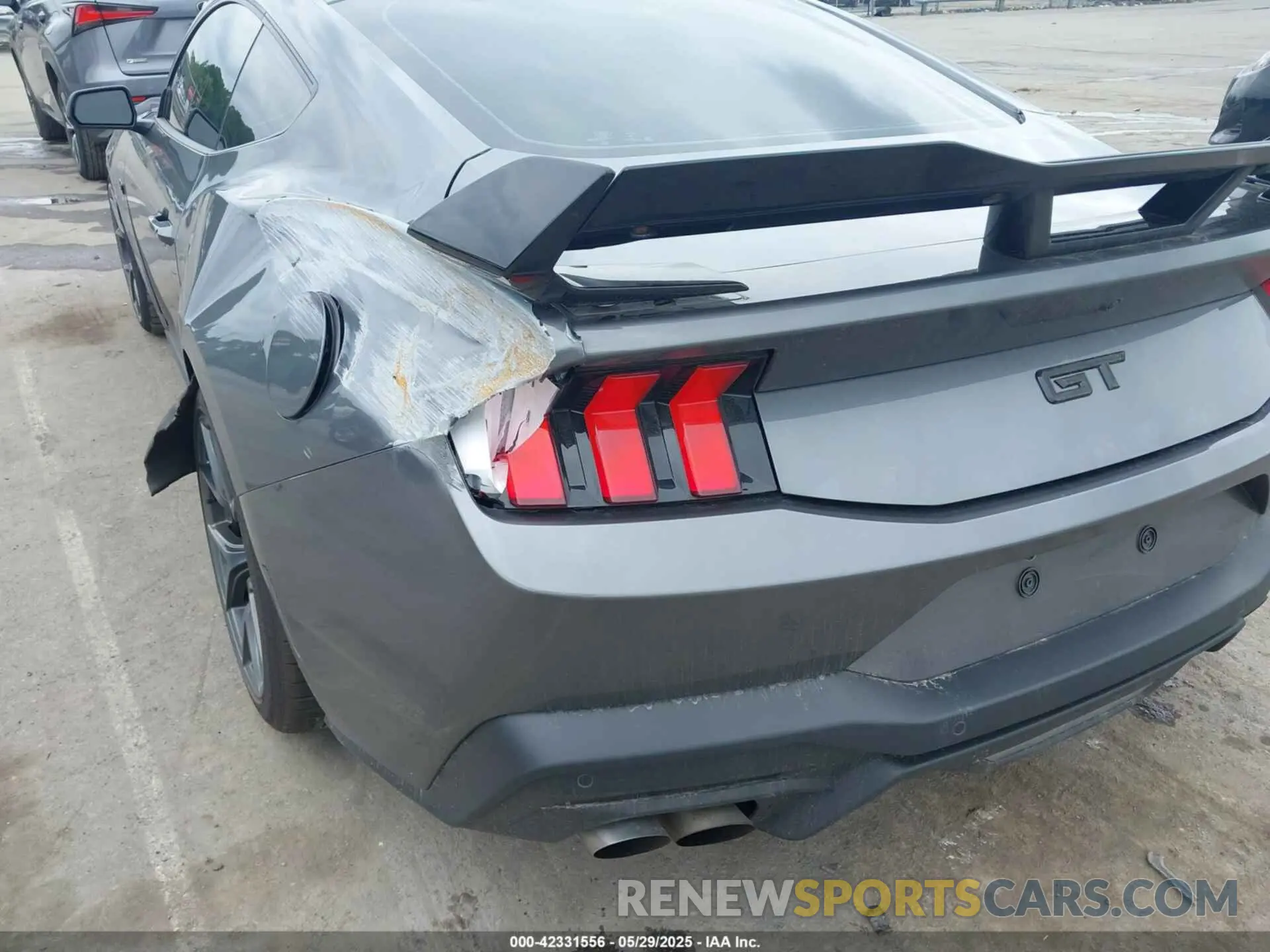 19 Photograph of a damaged car 1FA6P8CF8R5411835 FORD MUSTANG 2024