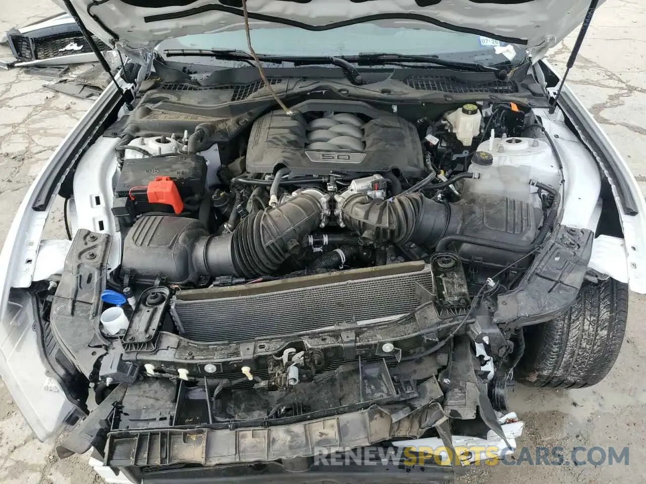 13 Фотография поврежденного автомобиля 1FA6P8CF8R5428697 FORD MUSTANG 2024