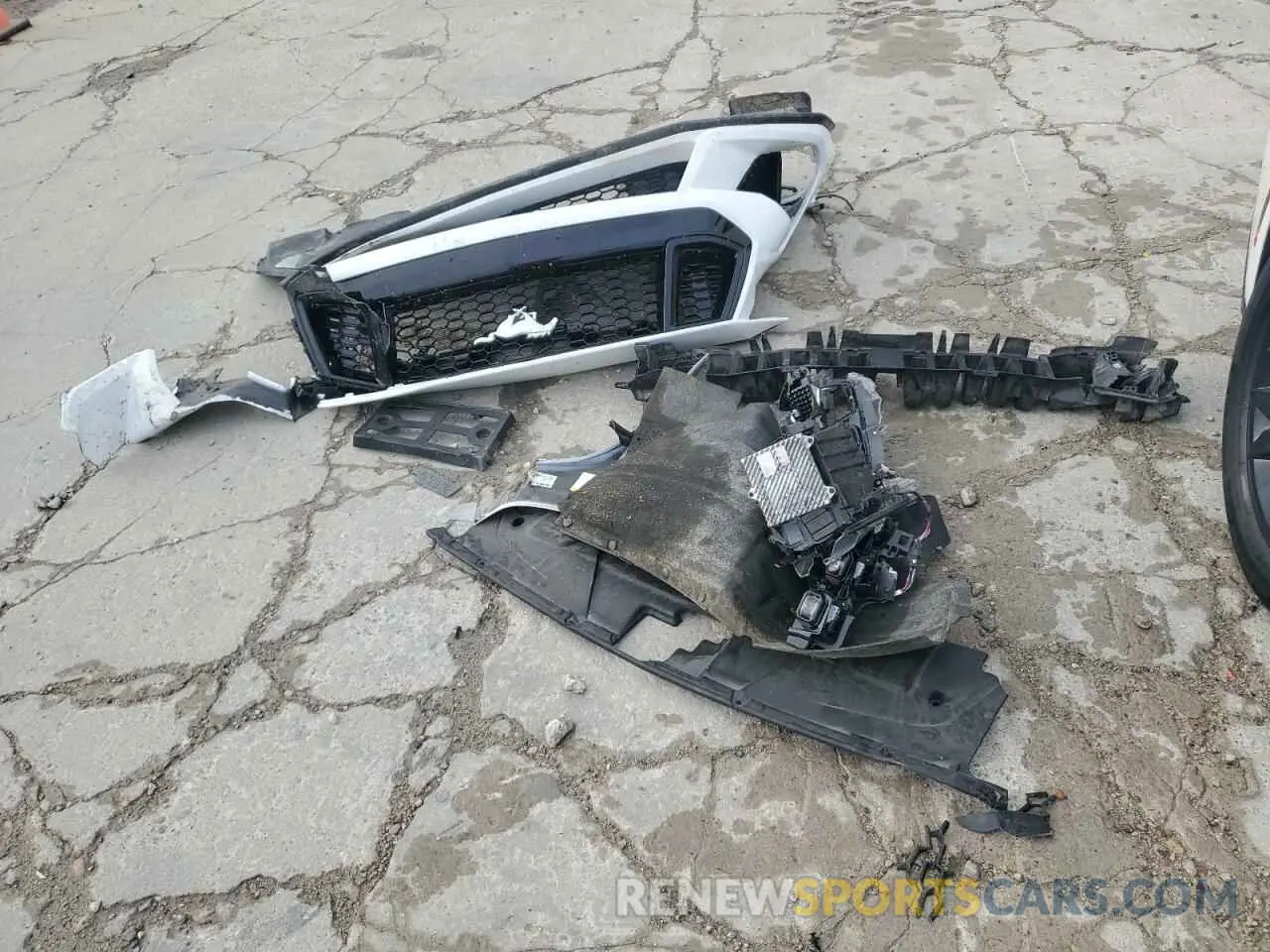 14 Фотография поврежденного автомобиля 1FA6P8CF8R5428697 FORD MUSTANG 2024