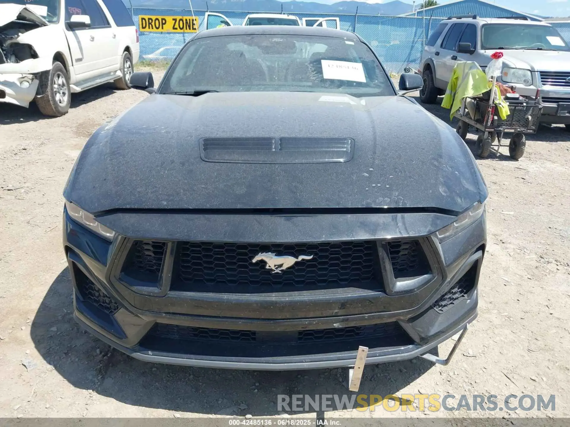 13 Photograph of a damaged car 1FA6P8CFXR5422836 FORD MUSTANG 2024