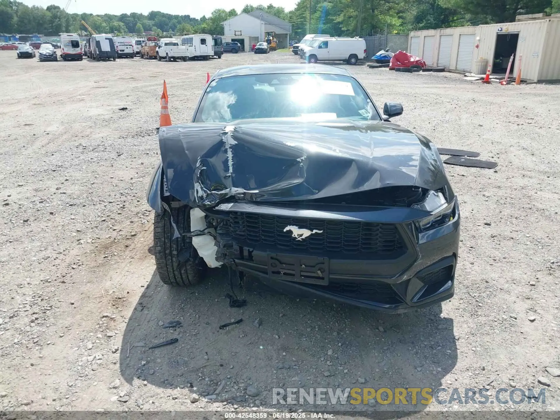 12 Фотография поврежденного автомобиля 1FA6P8TH0R5102331 FORD MUSTANG 2024