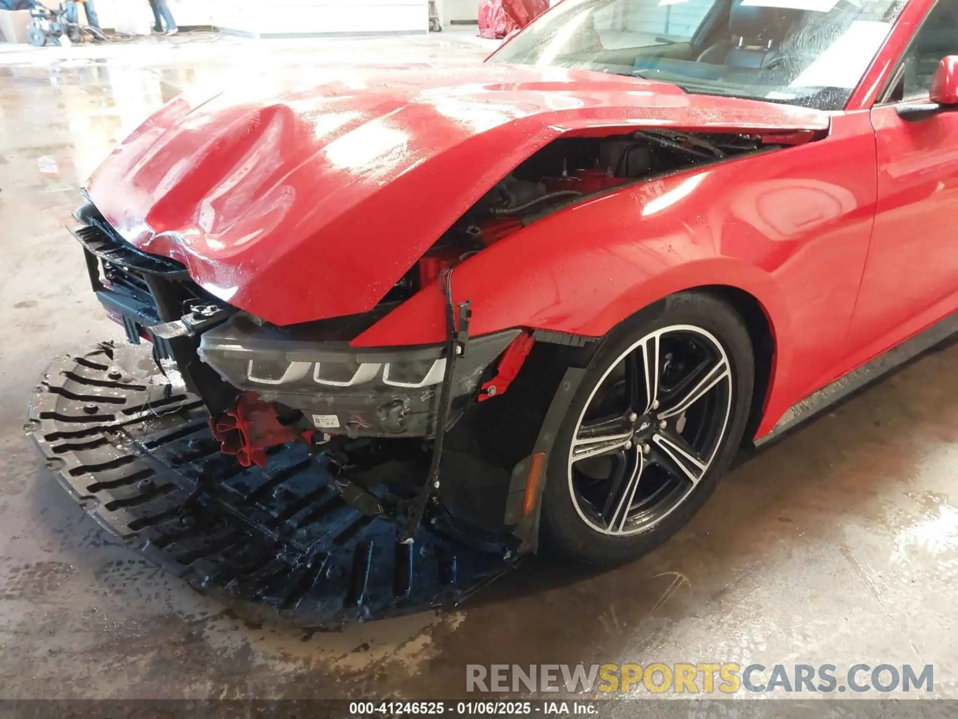 6 Фотография поврежденного автомобиля 1FA6P8TH0R5113118 FORD MUSTANG 2024