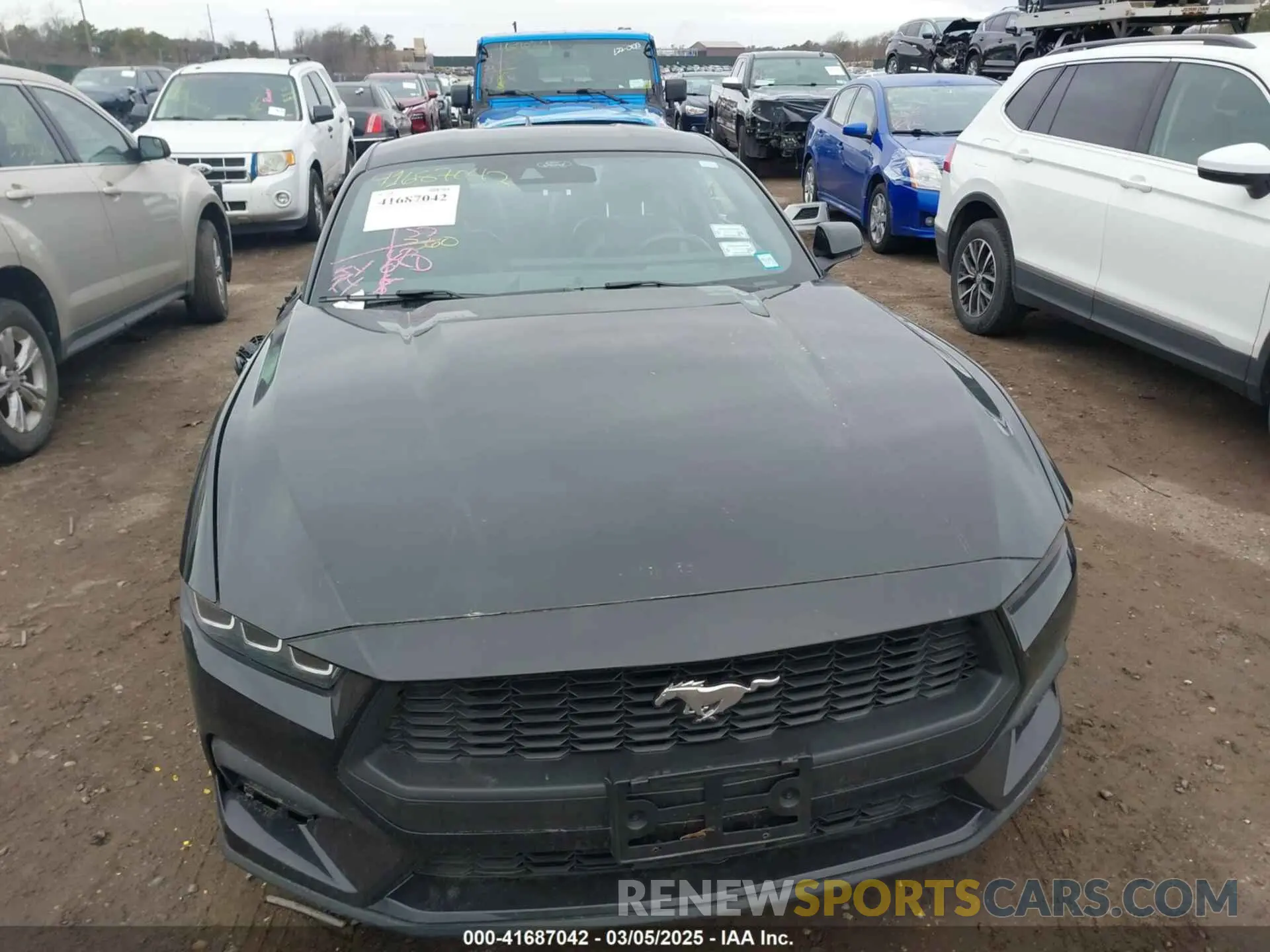 12 Фотография поврежденного автомобиля 1FA6P8TH0R5134826 FORD MUSTANG 2024