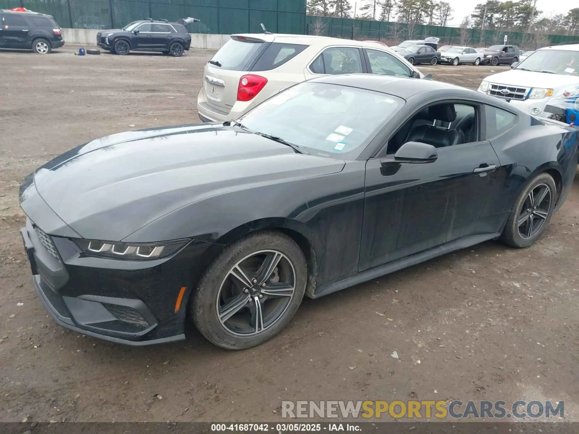 14 Фотография поврежденного автомобиля 1FA6P8TH0R5134826 FORD MUSTANG 2024